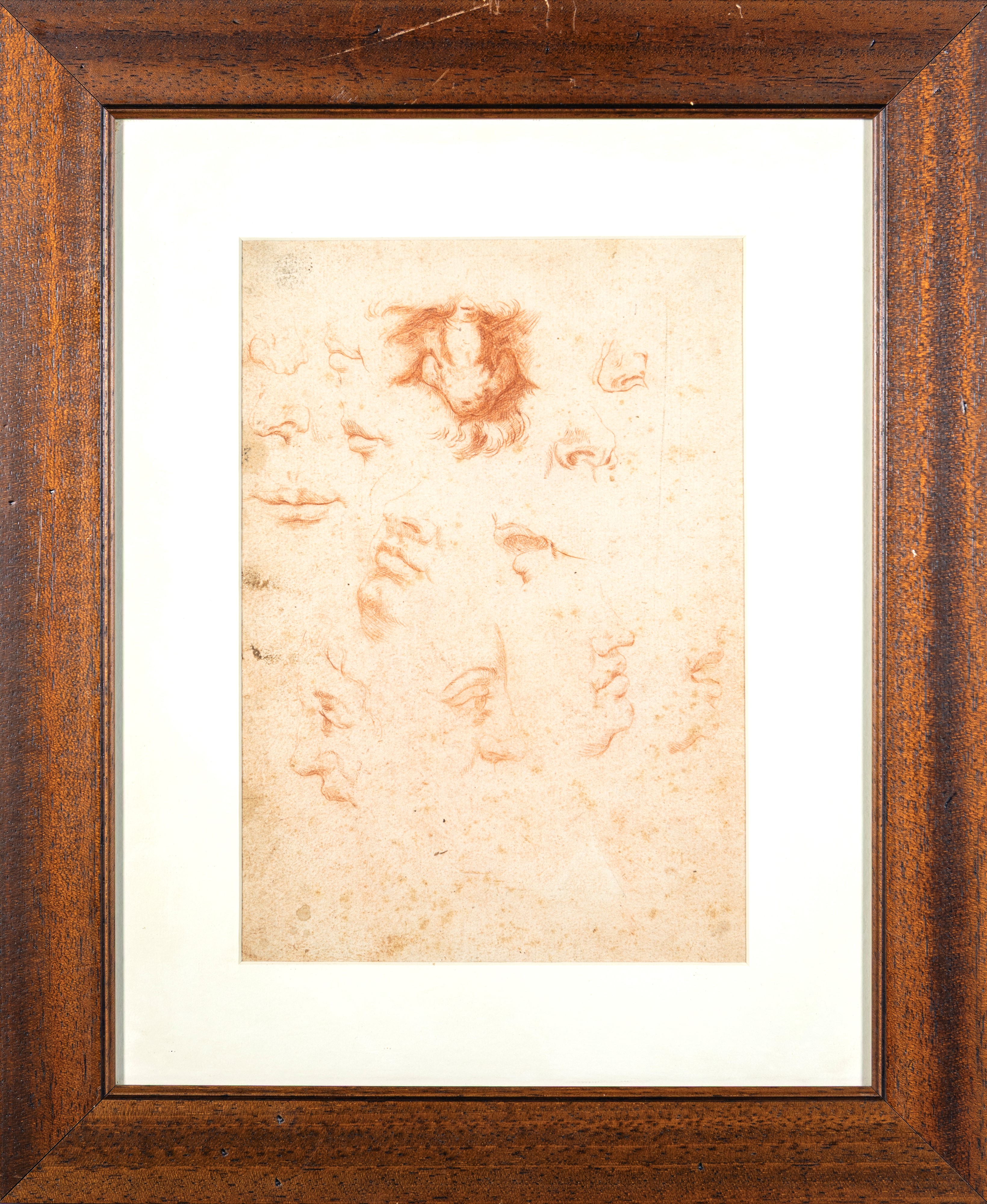 Studi di labbra, naso e profili maschili