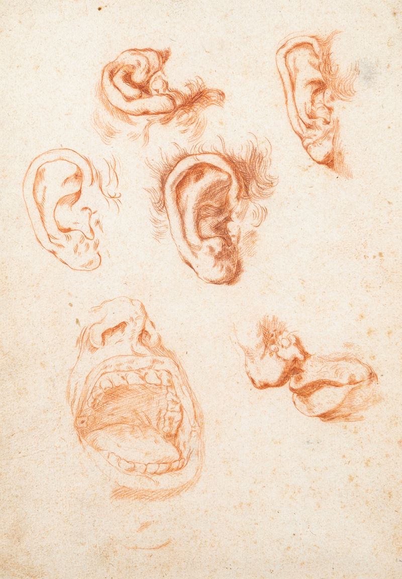 Pittore Accademico degli Inizi del XIX Secolo - Studi di Orecchie e Bocca