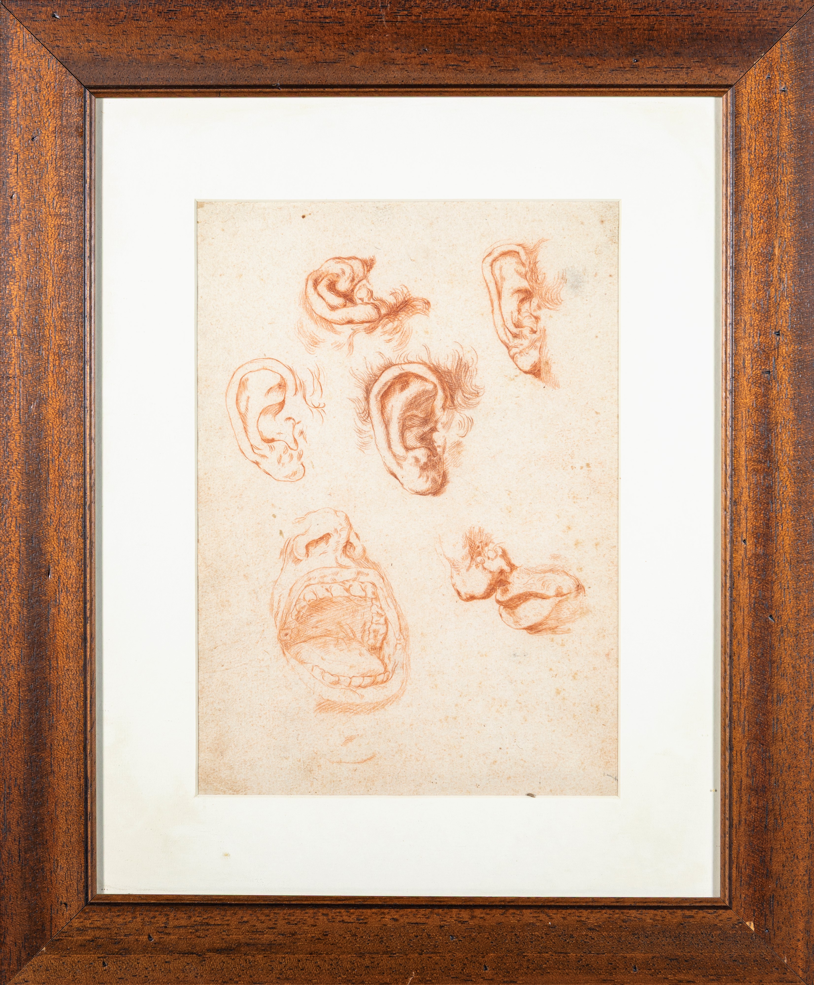 Studi di orecchie e bocca