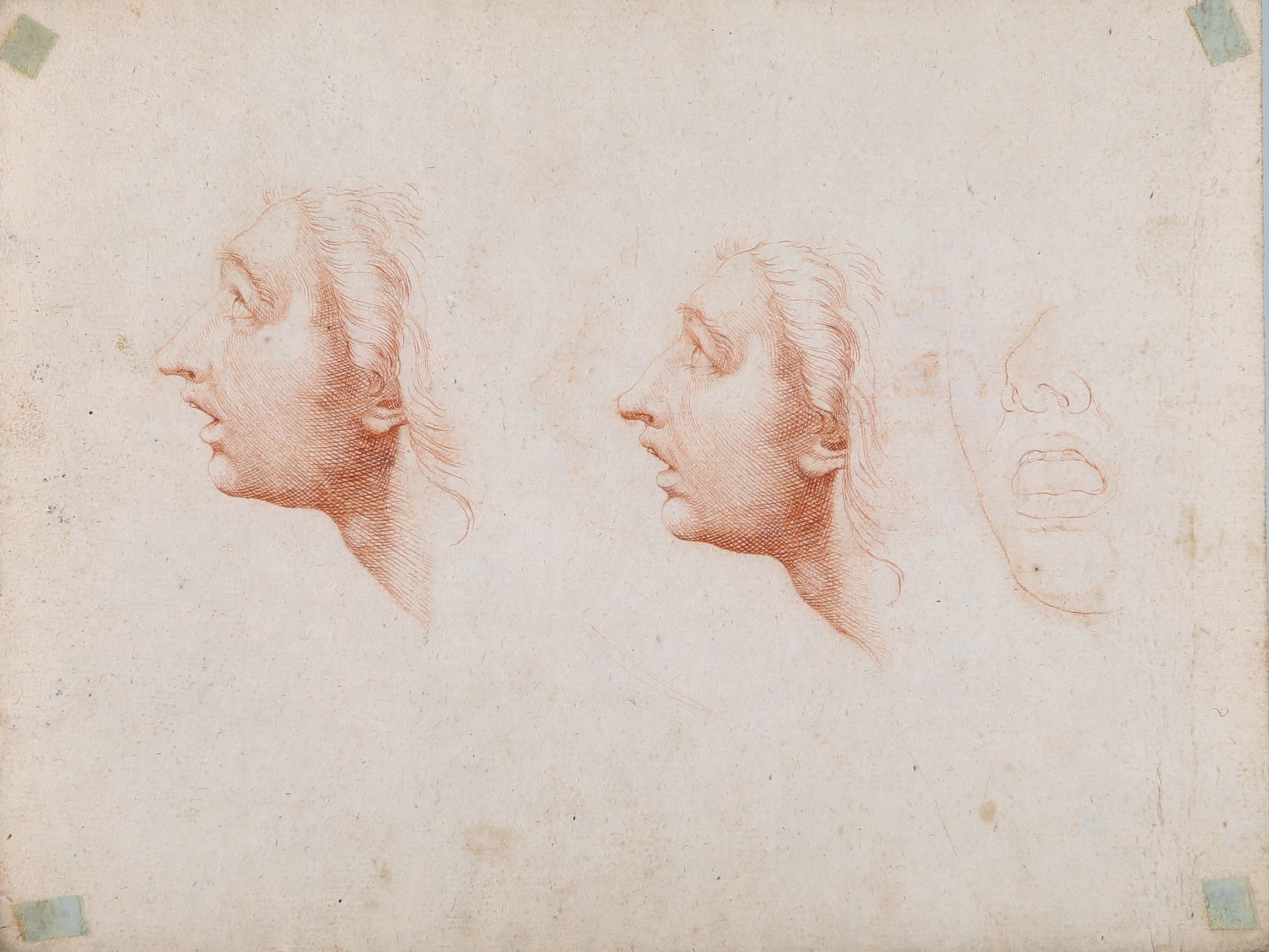 Recto: Studi di volti, Verso: Studio di due profili femminili