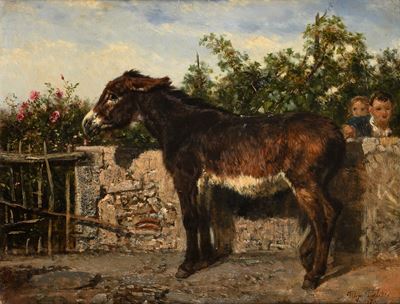 L'asinello Solleticato