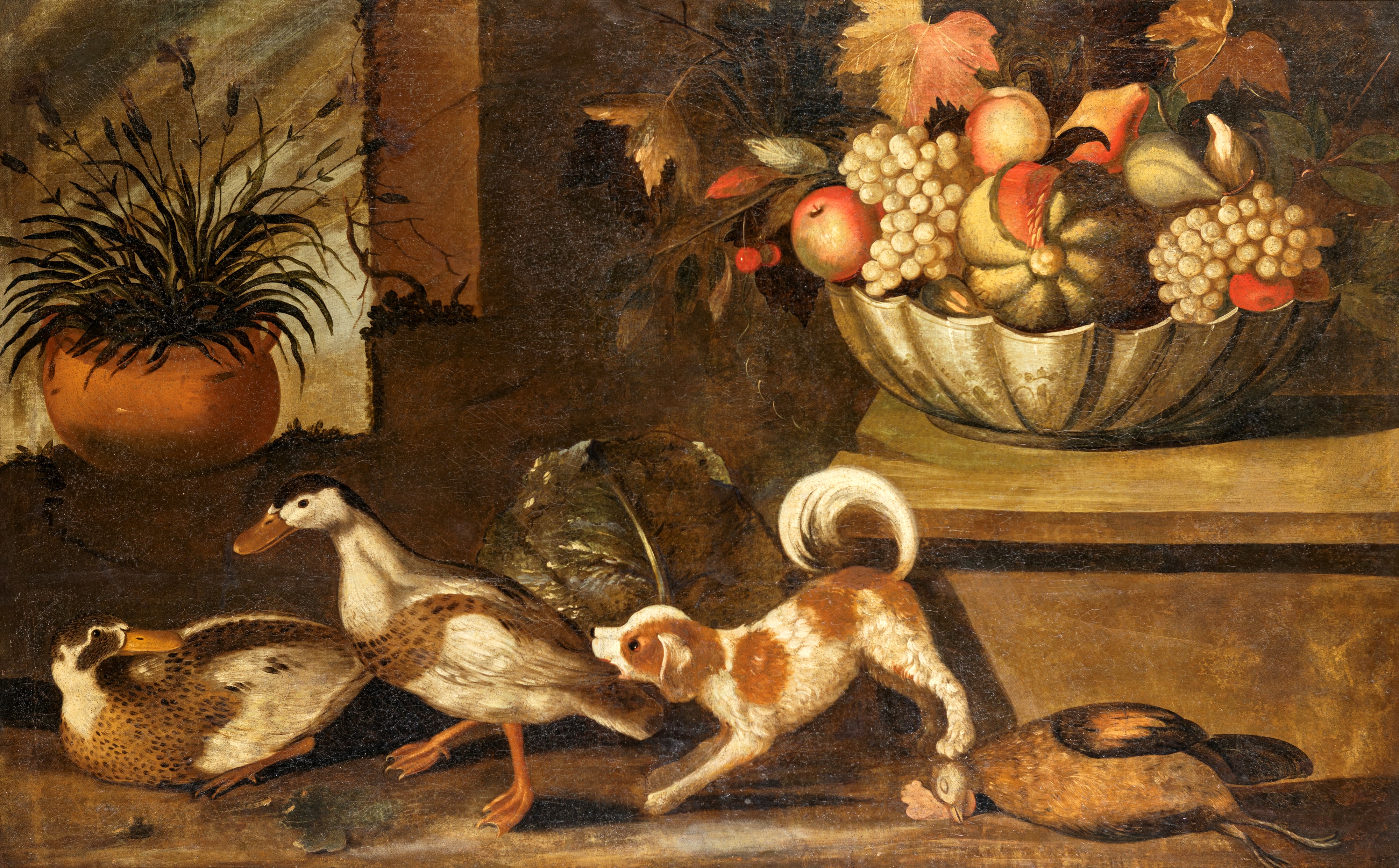 Pittore del XVIII Secolo - Coppia di Dipinti: Natura Morta con Animali e Frutta