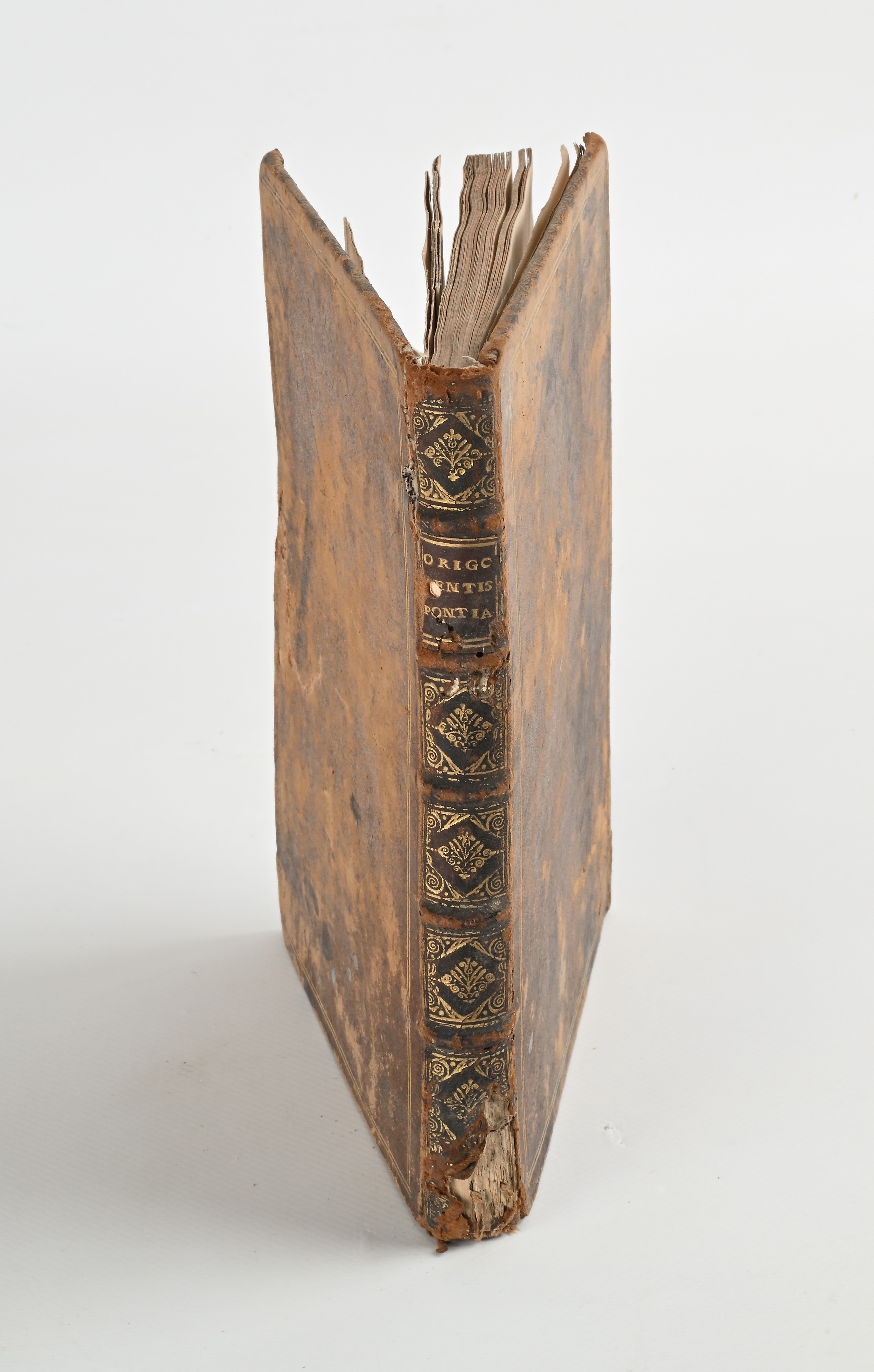 Giuseppe Macrino - Gentis Pontianae origo et series