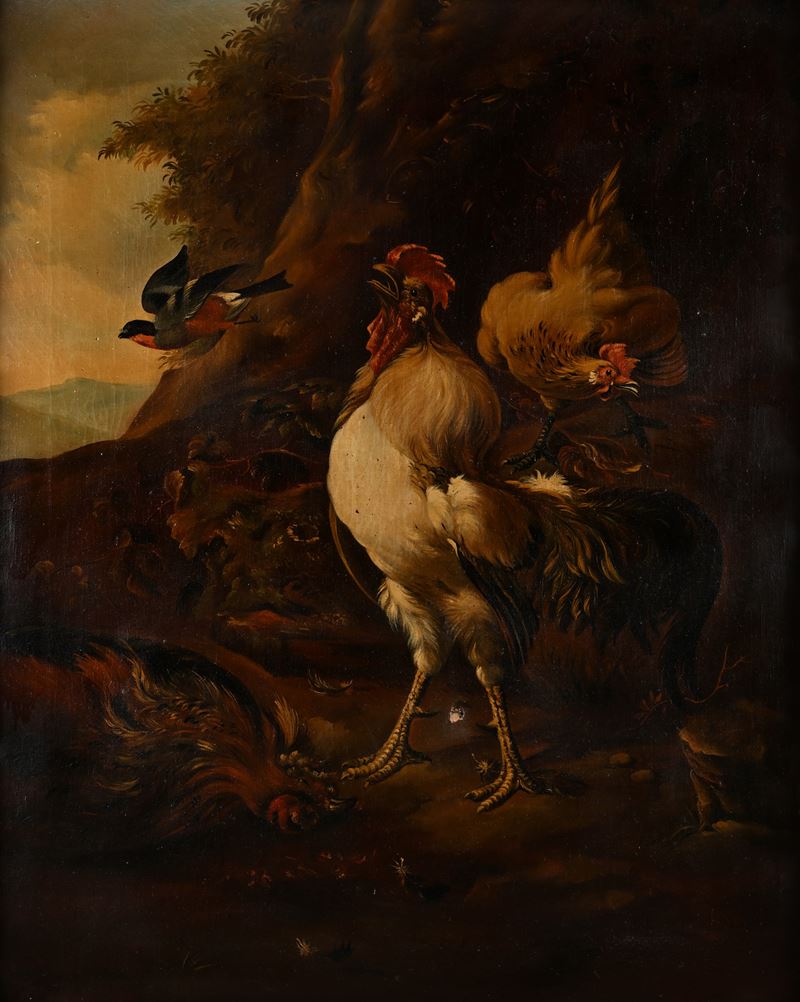 Il gallo imperiale