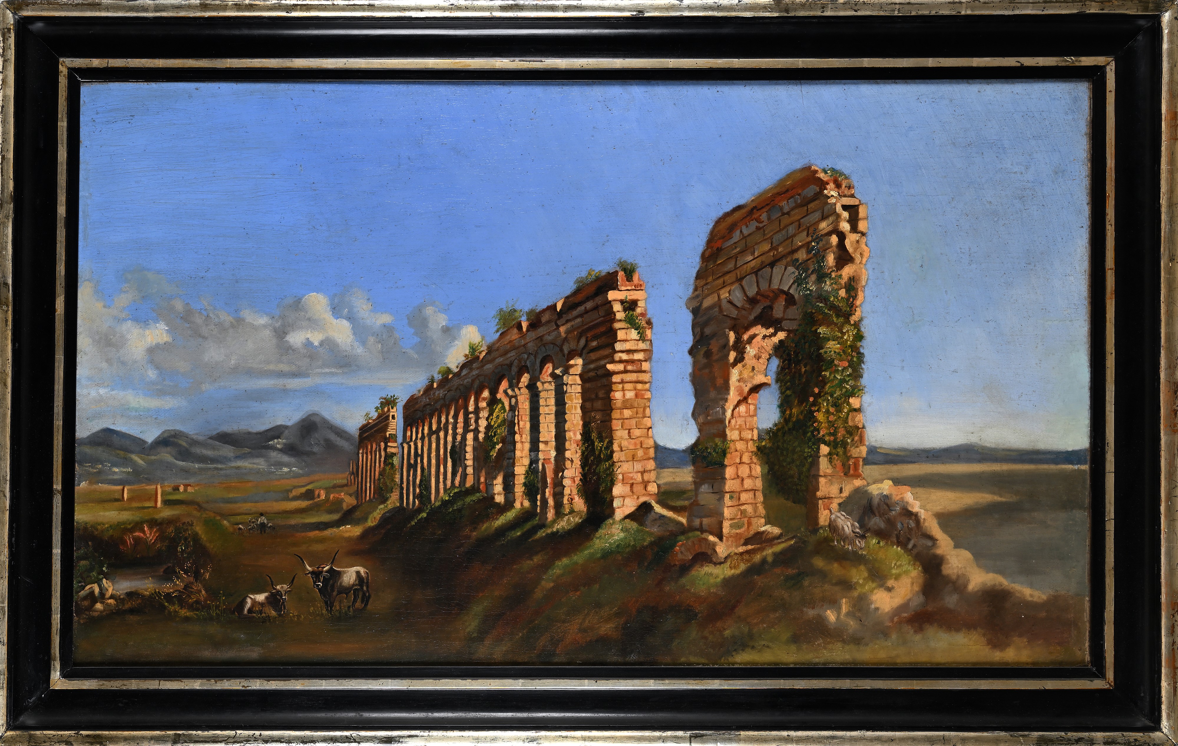 Bufali presso un antico acquedotto nella Campagna romana