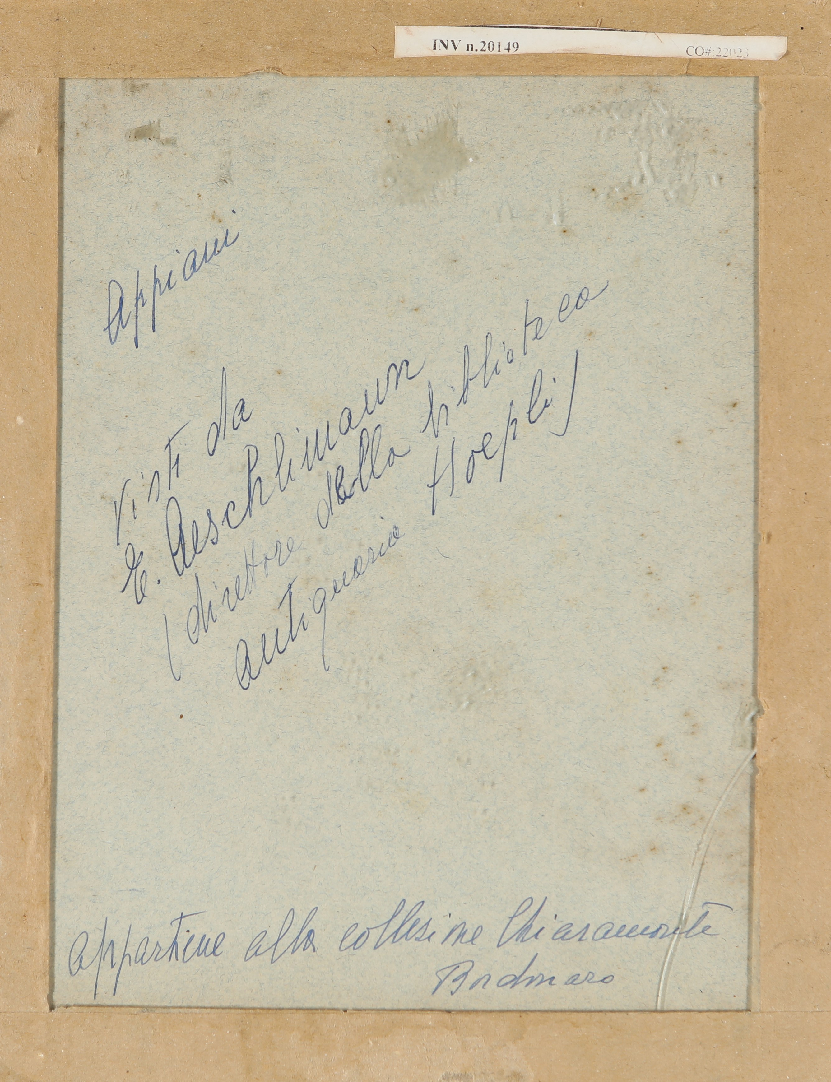 Studio di volto femminile