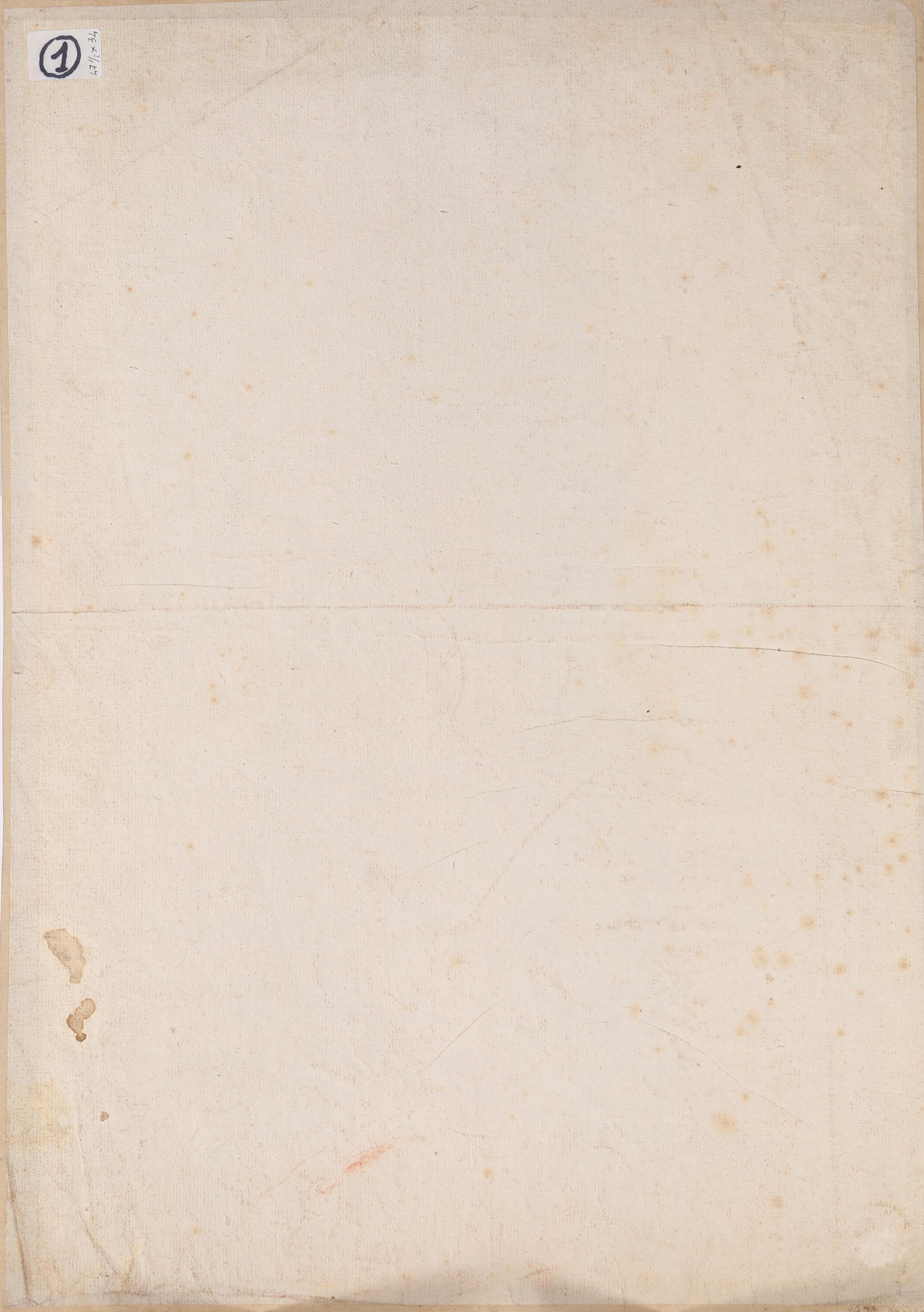 Scuola Bolognese del XVIII Secolo - Studio di Nudo Accademico