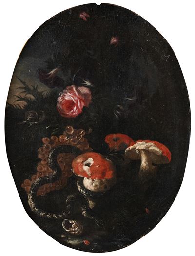 Natura Morta con Funghi e Serpente