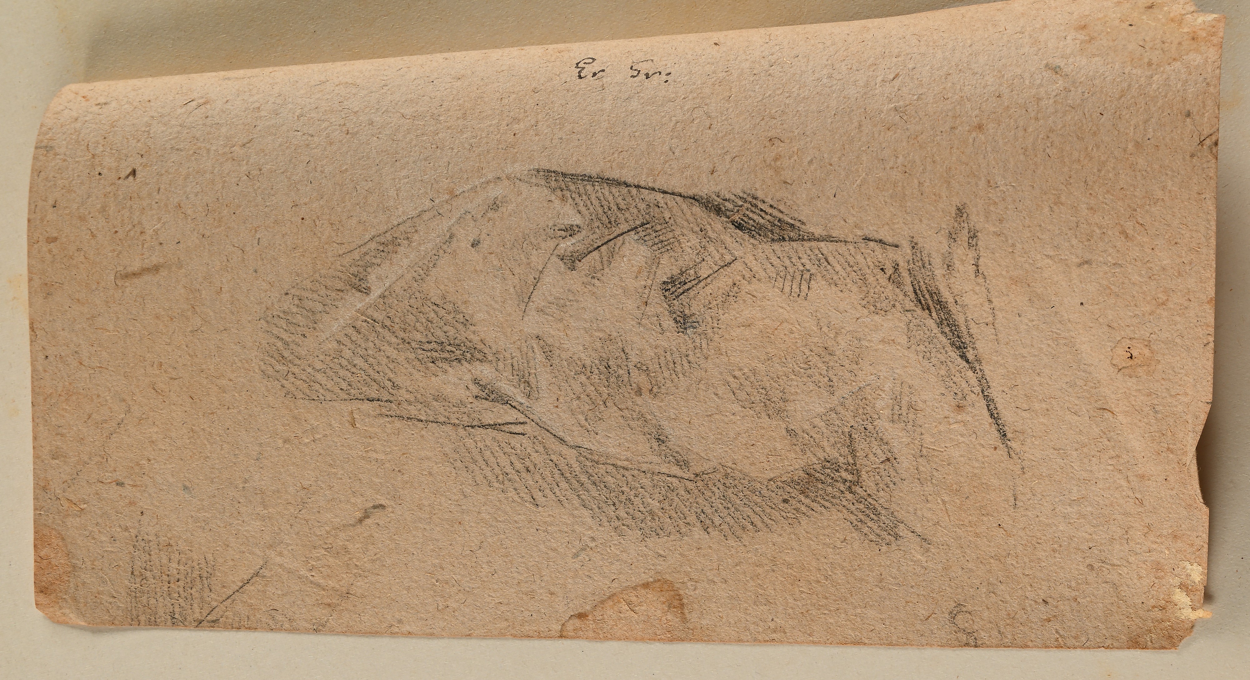 Scuola Romana del XVIII Secolo - Recto: Studio di Mano - Verso: Studio di Panneggio