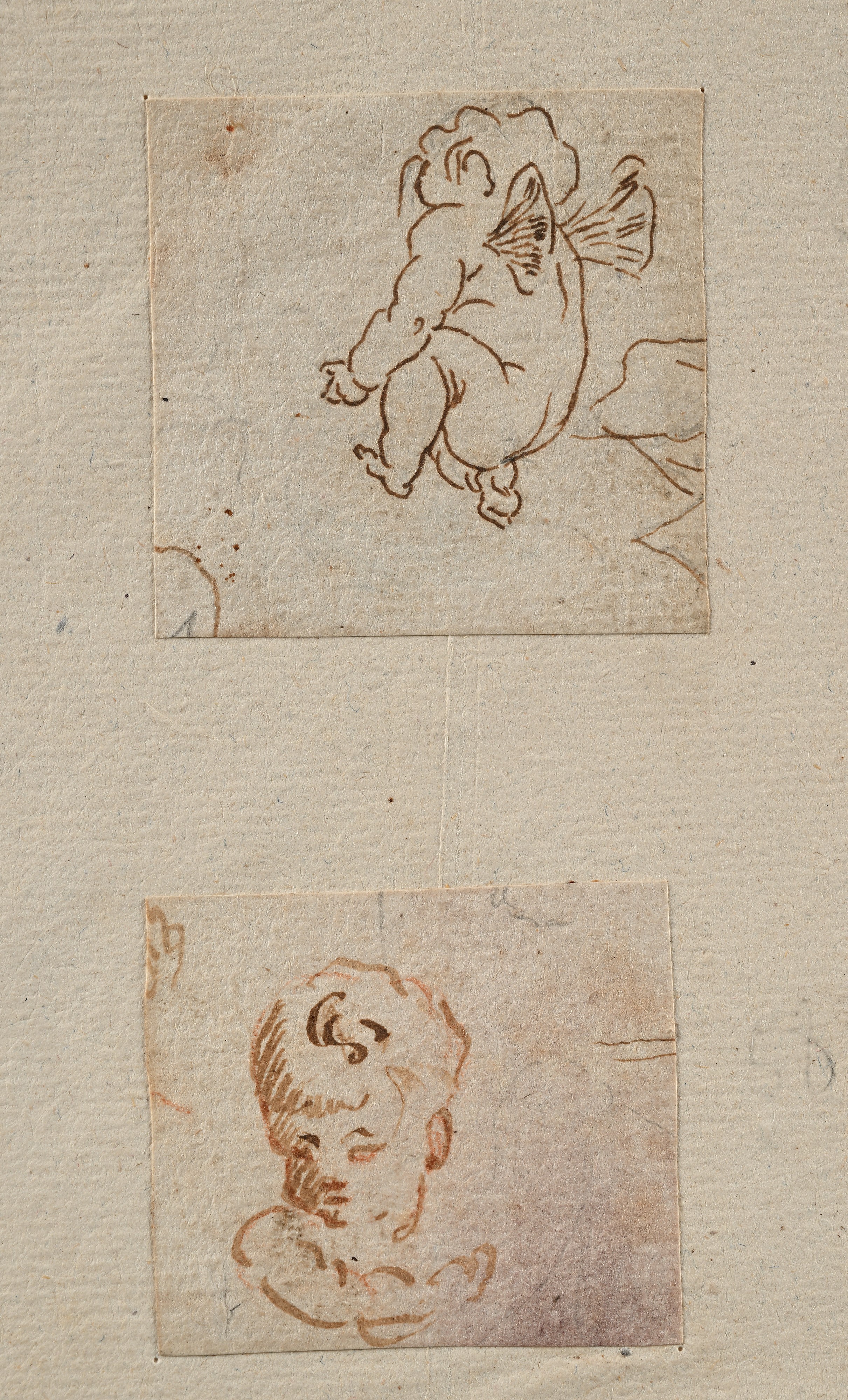 Coppia di Studi di puttini