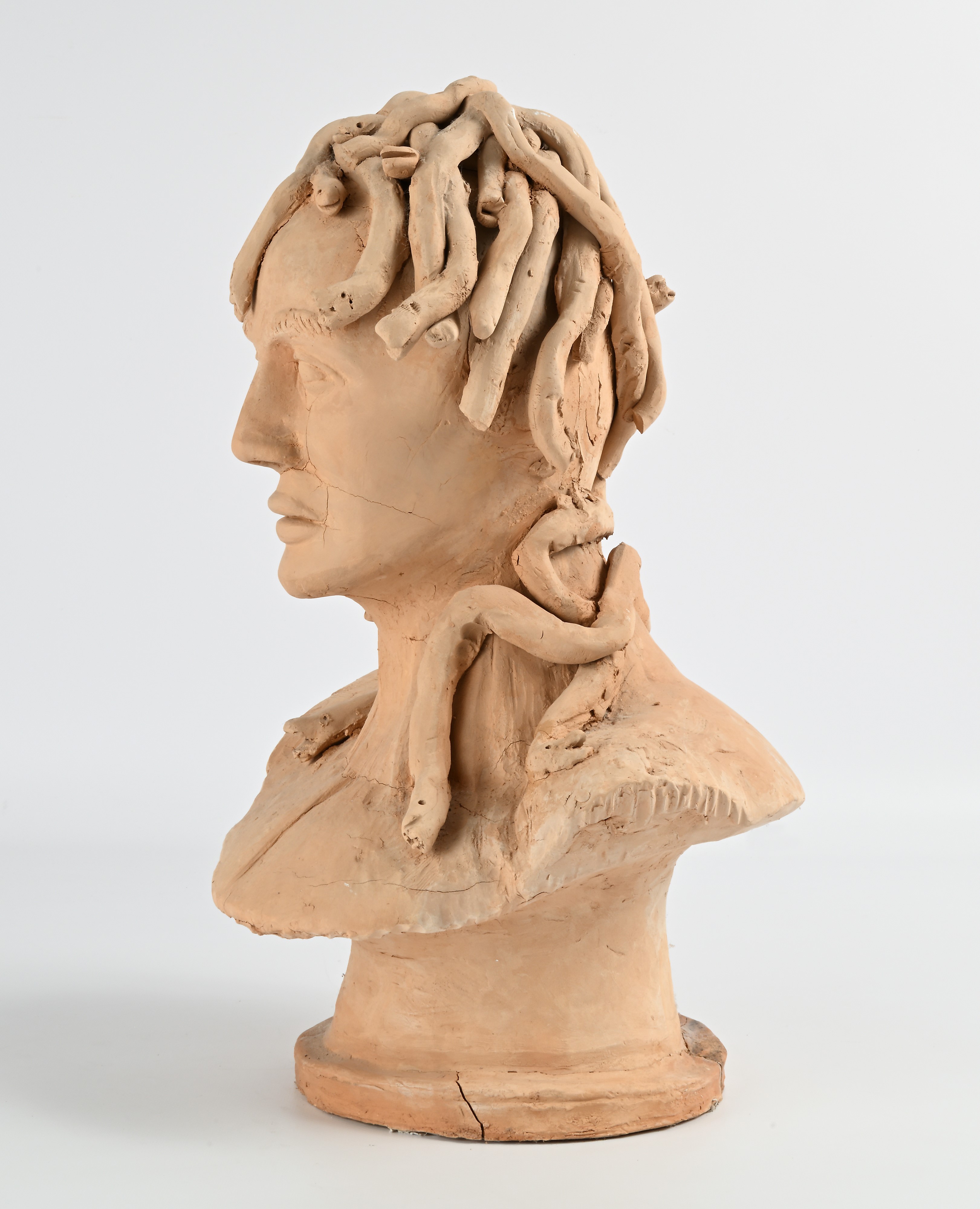 Testa di Medusa, terracotta, XX secolo