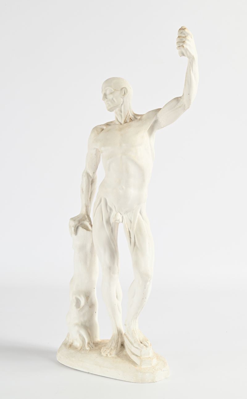 Studio anatomico in gesso, Italia, fine del XIX/inizi del XX secolo