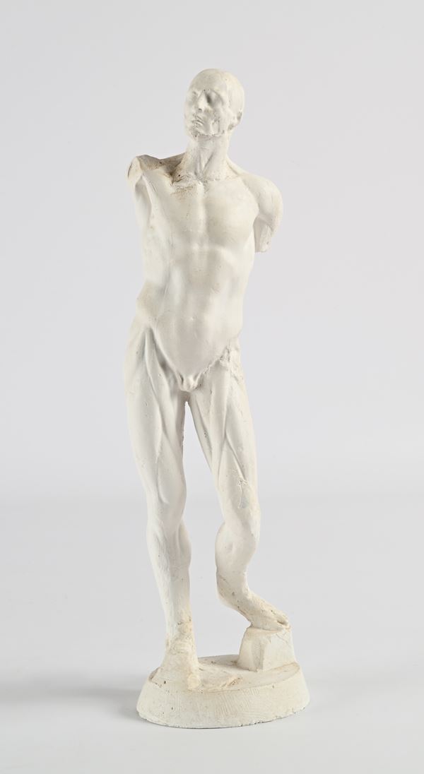 Studio anatomico in gesso, Italia, fine del XIX/inizi del XX secolo