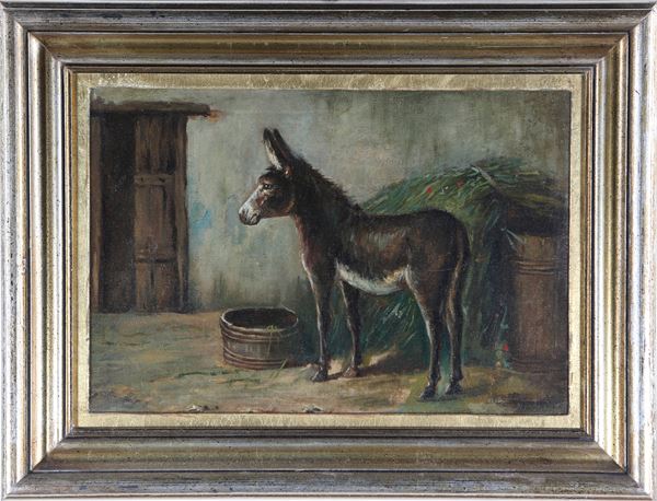 L'asinello nel cortile