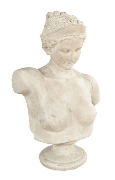 Busto di Diana, marmo bianco, XIX secolo
