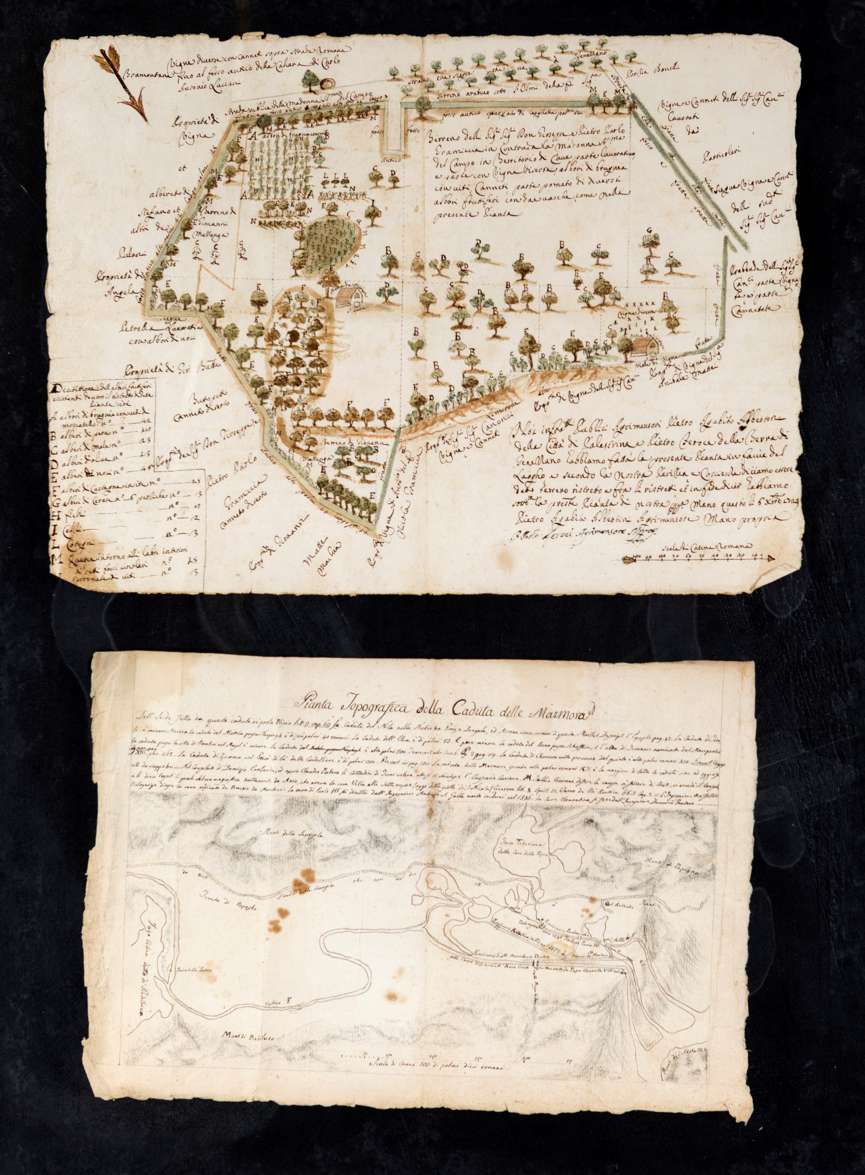 Pietro Agapito Albertini / Pietro Feroci - Pianta agrimensoria di terreni in località Cave