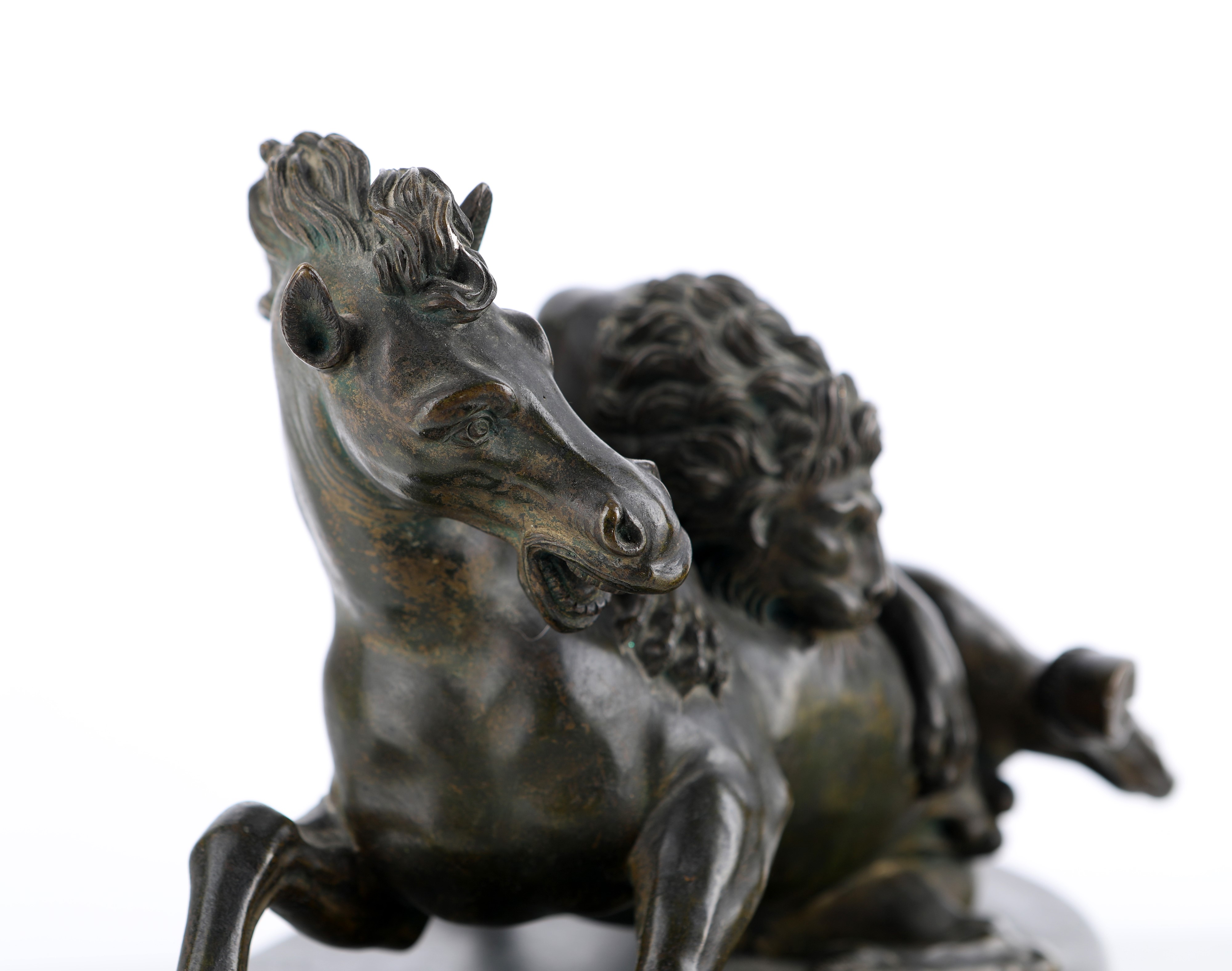 Scultore anonimo, Scultura in bronzo raffigurante un leone che assale un cavallo, XIX secolo