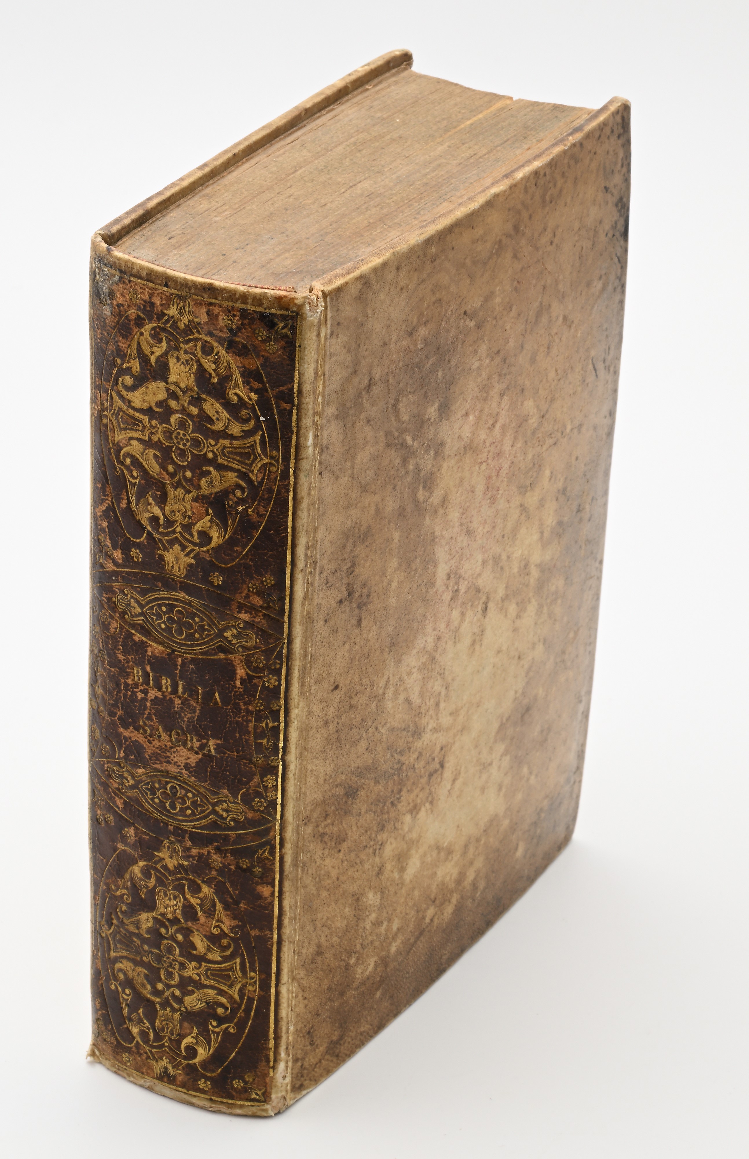 Biblia Sacra Vulgatae Editionis