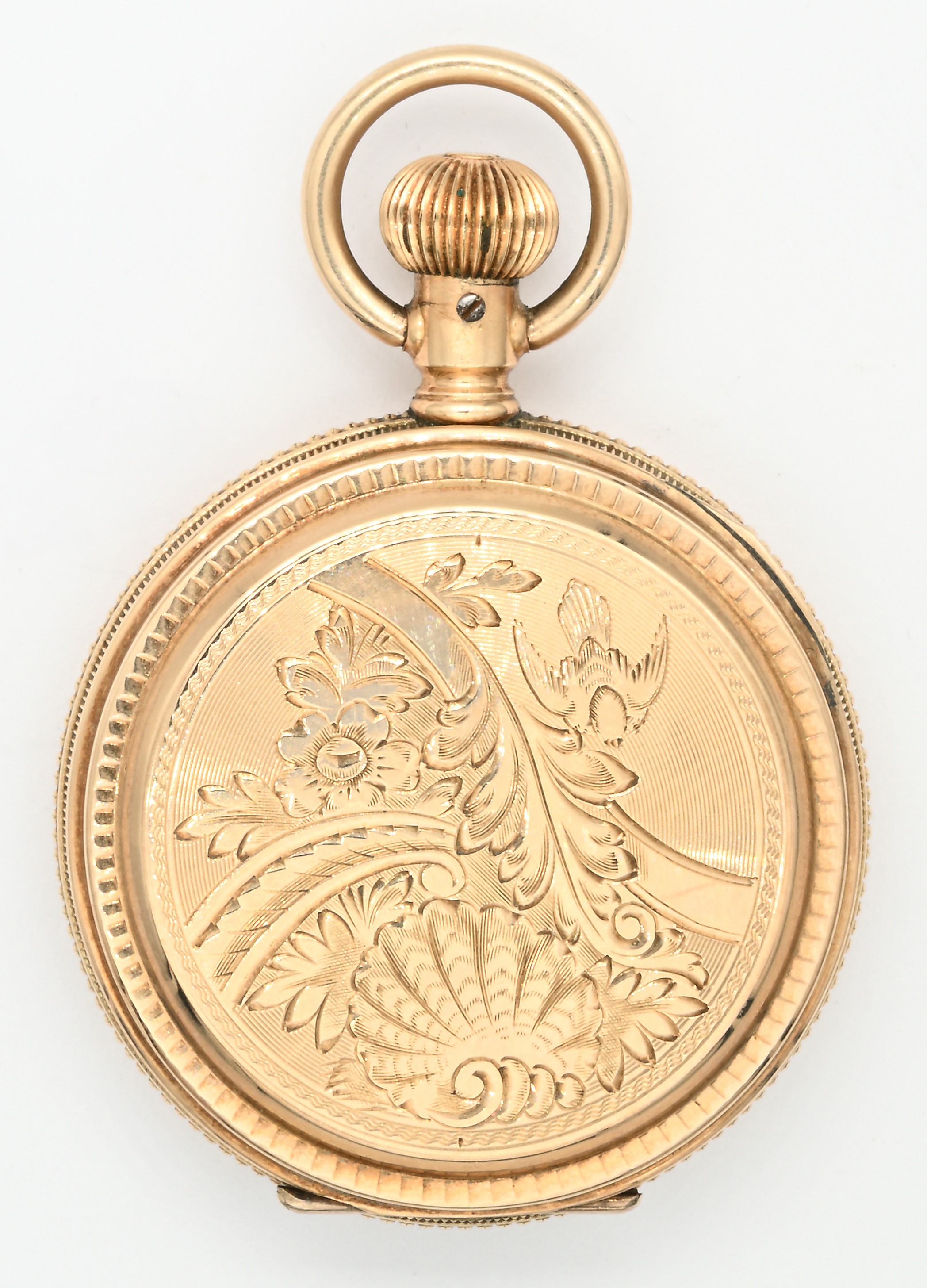 Illinois Watch Co., Orologio da tasca in oro 14K con scappamento ad ancora spirale Breguet (remon...
