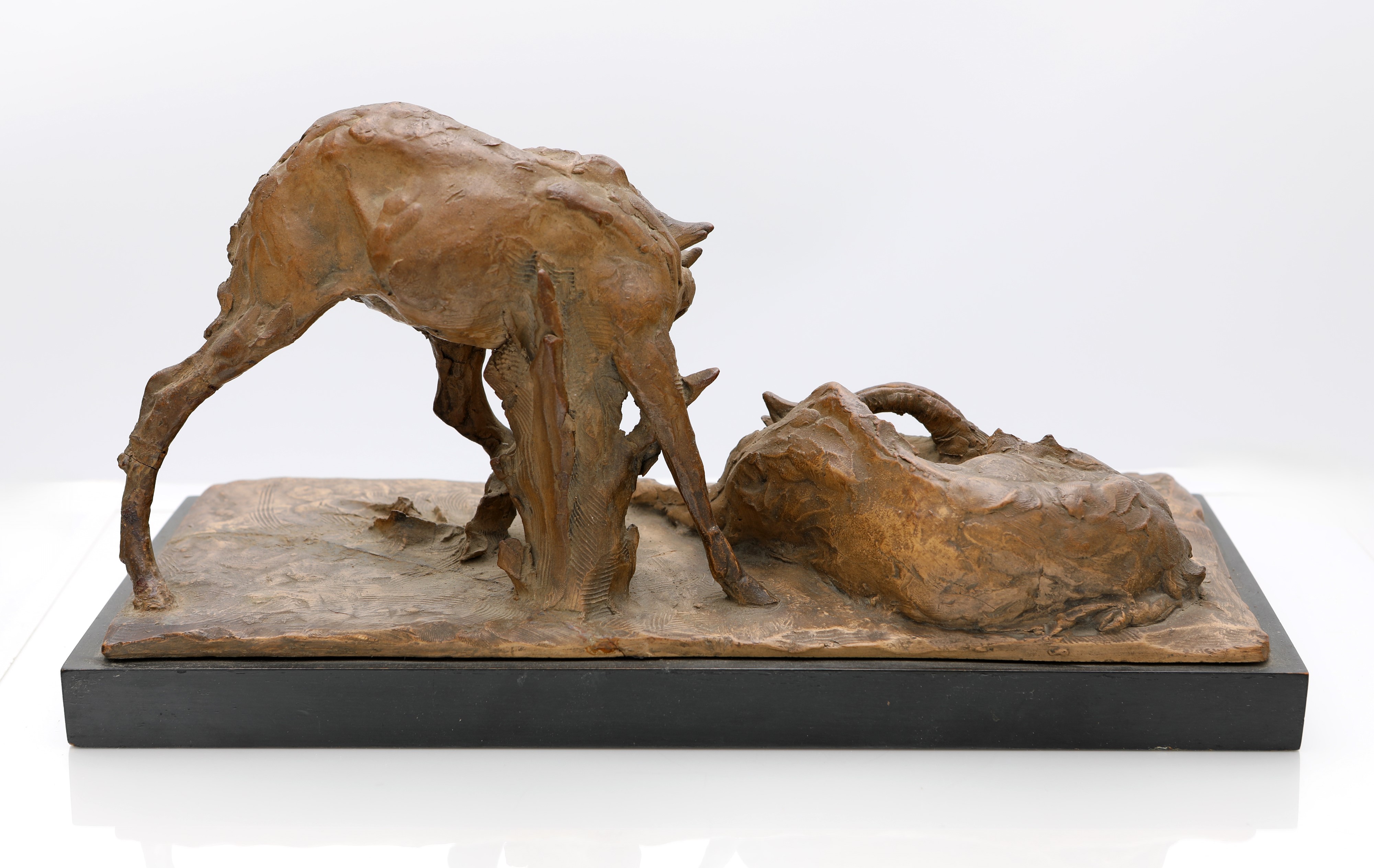 Guido Cacciapuoti - Due antilopi, terracotta