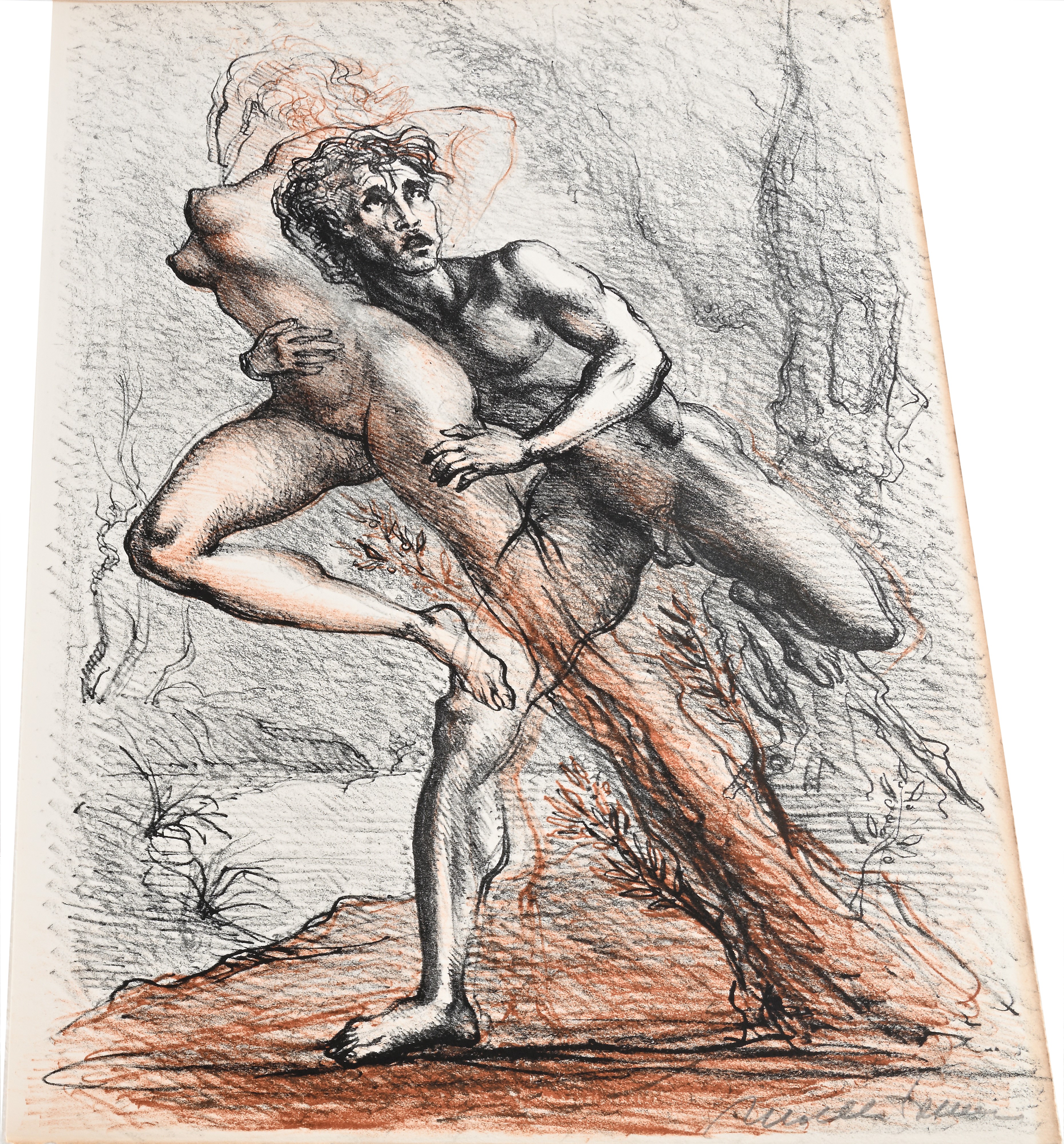 Ovidio Le Metamorfosi Con 22 litografie a colori e 48 illustrazioni di Marcello Tommasi. Edizione...