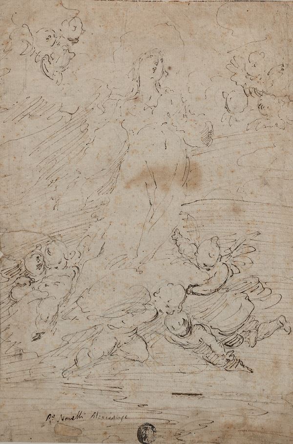 Studio per Assunzione della Madonna