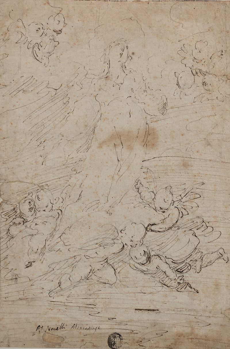 Studio per Assunzione della Madonna