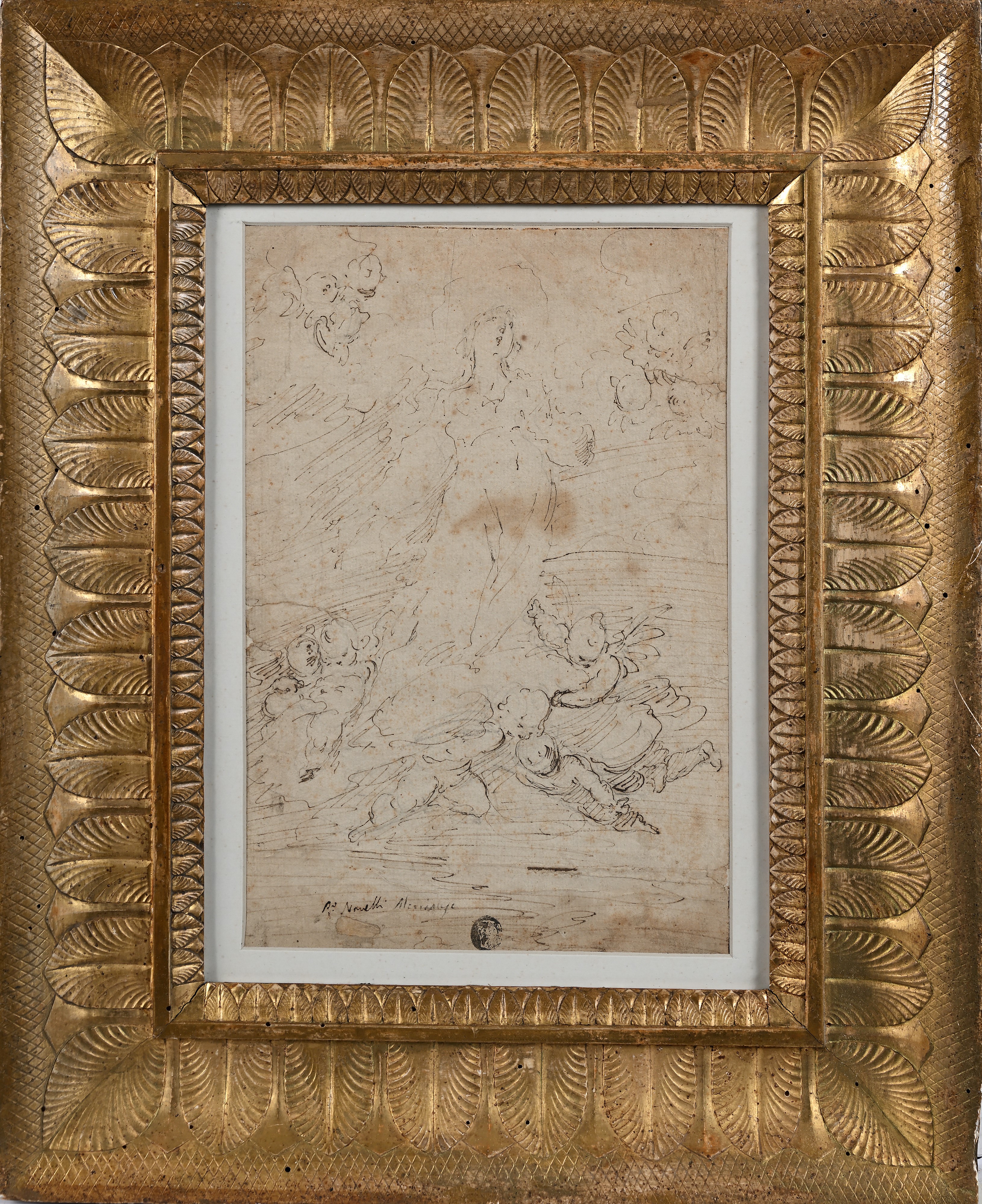 Studio per Assunzione della Madonna