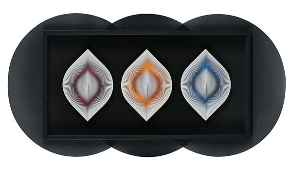 ALBERTO BIASI - Le Grazie