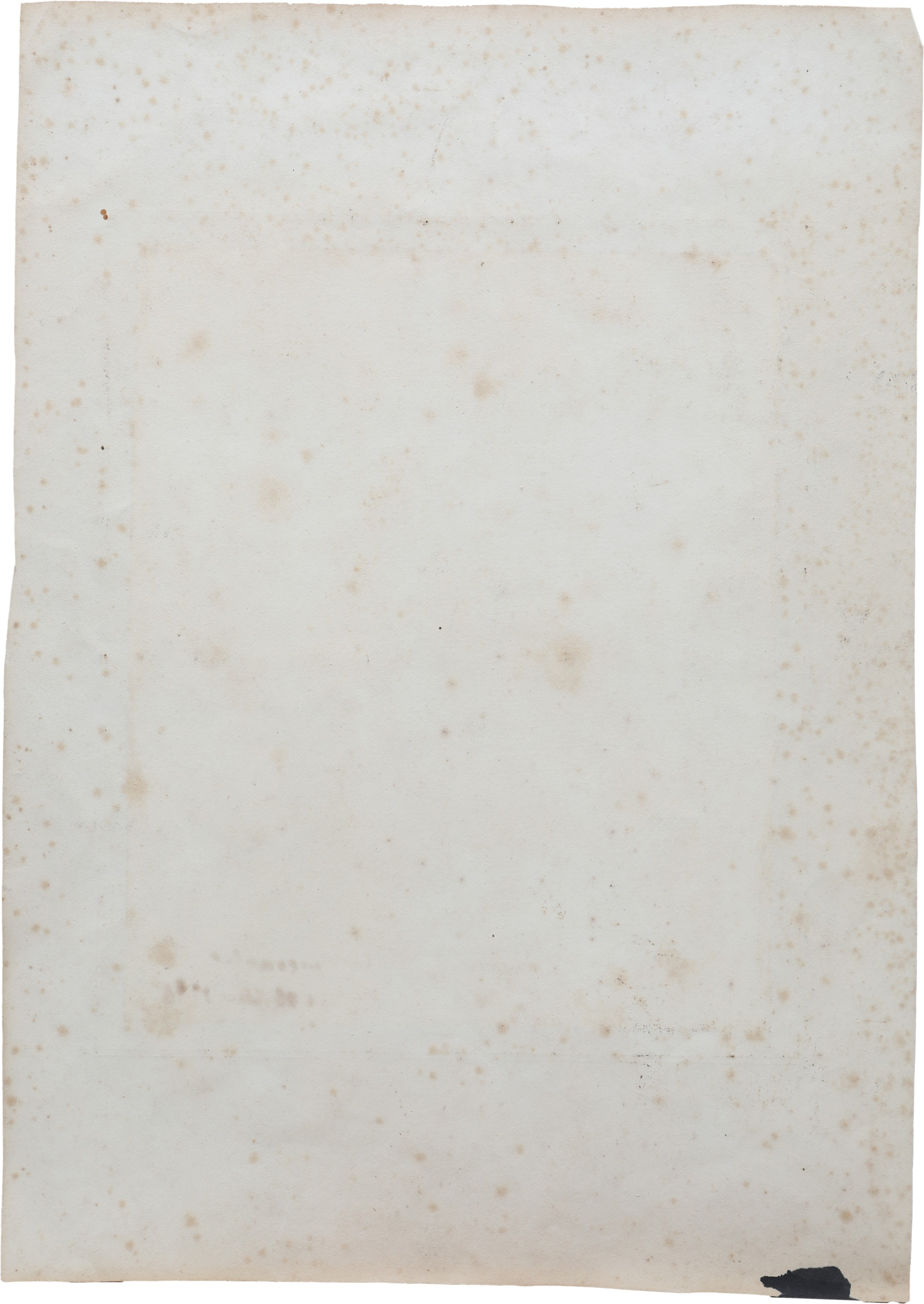 Ritratto di Vitaliano Borromeo