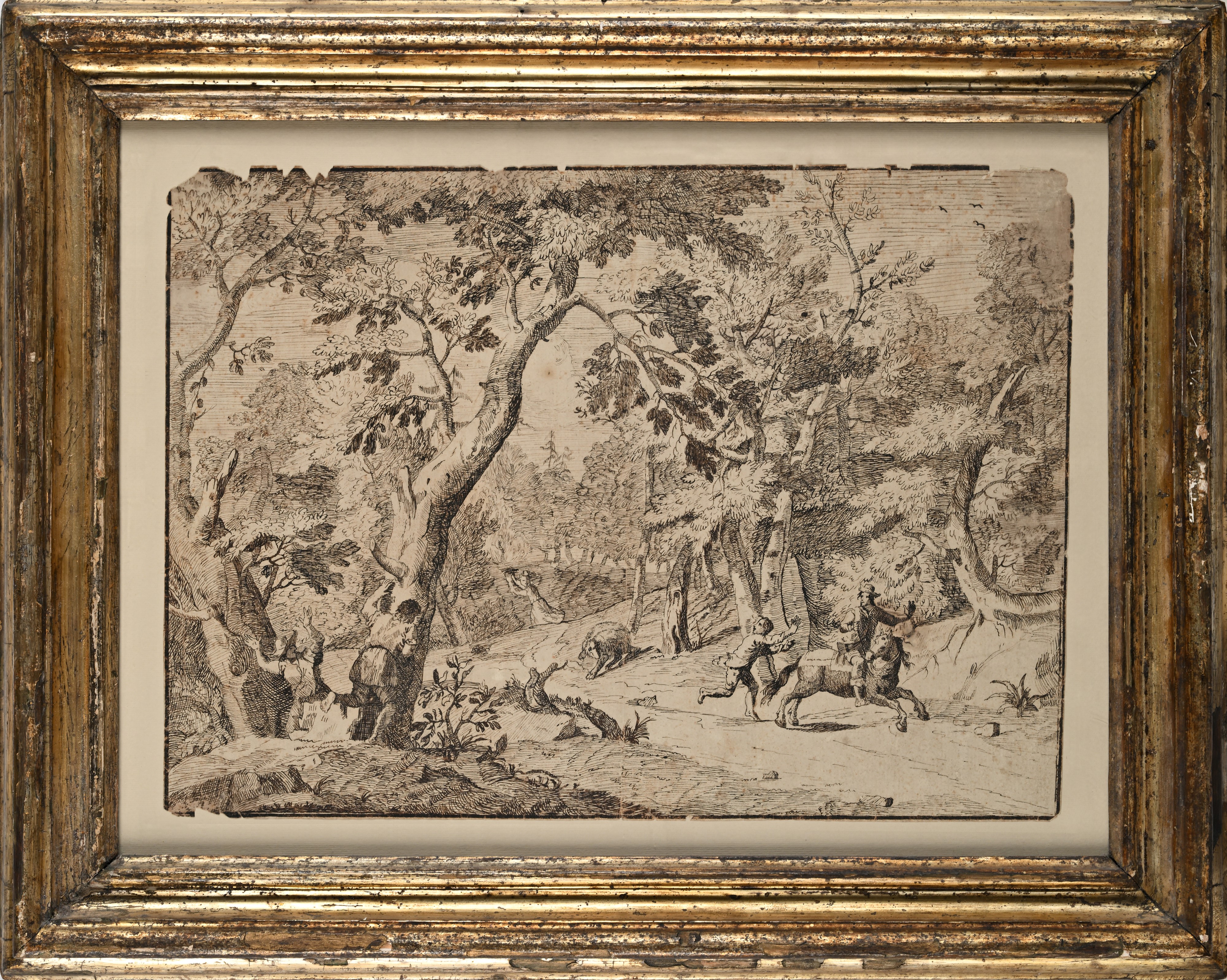 Studio per l'Apparizione dell'Orso