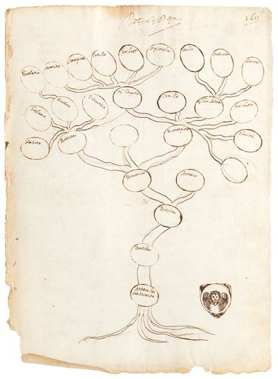 Antonio da Sanseverino, Albero Genealogico