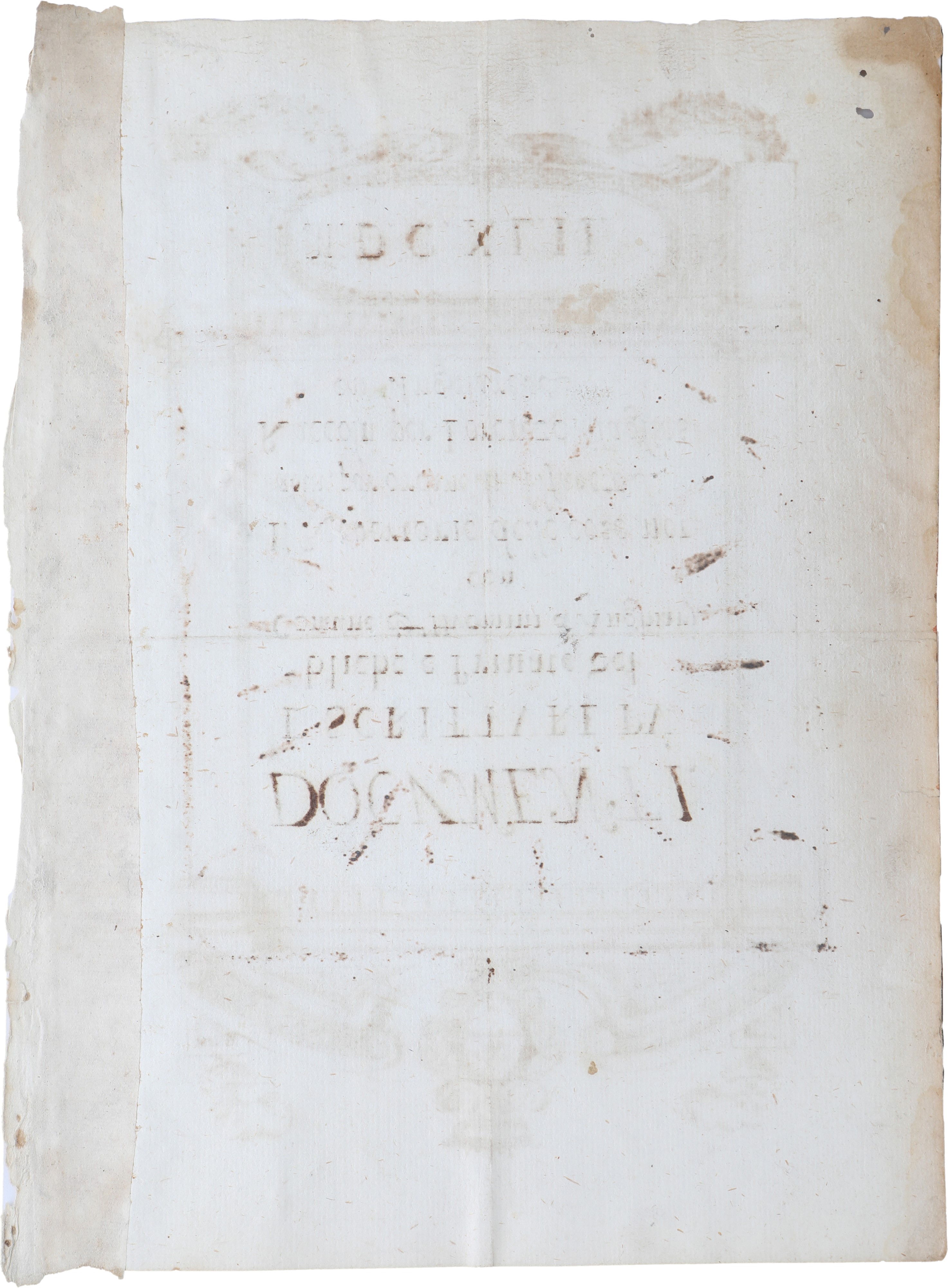 Documenti e Scritture pubbliche e private del Comune di Anghiari, china su carta