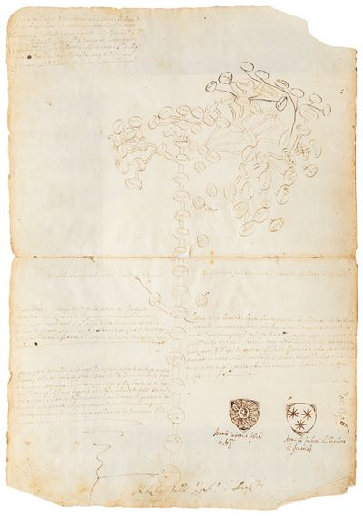 Ranicino, Albero Genealogico - China su carta