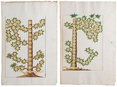 Alberi Genealogici della famiglia Lorena, acquerello su carta