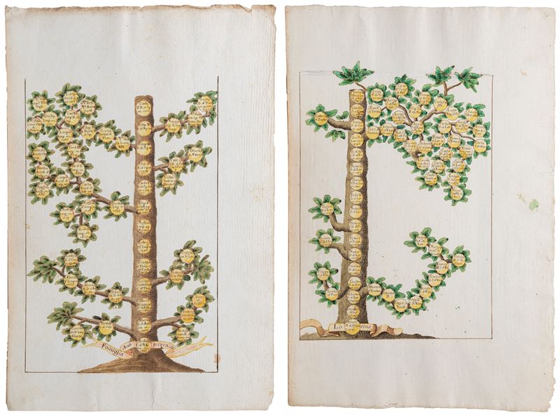 Alberi Genealogici della famiglia Lorena, acquerello su carta