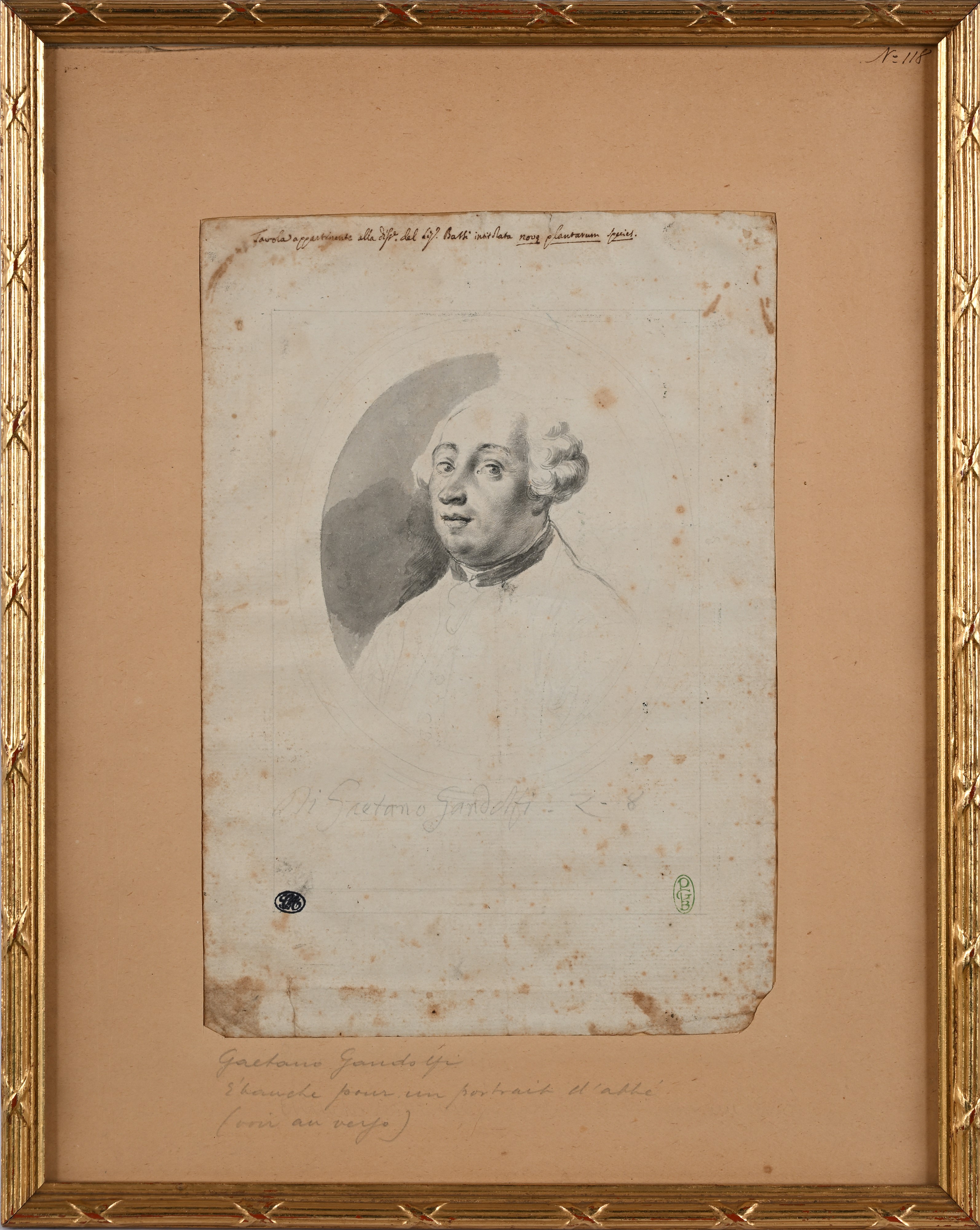 Recto: Studio per il ritratto di Otto Müller - Verso: Studio della Alisma Parnassifolia