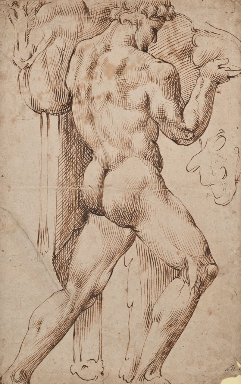 Studio di Ercole