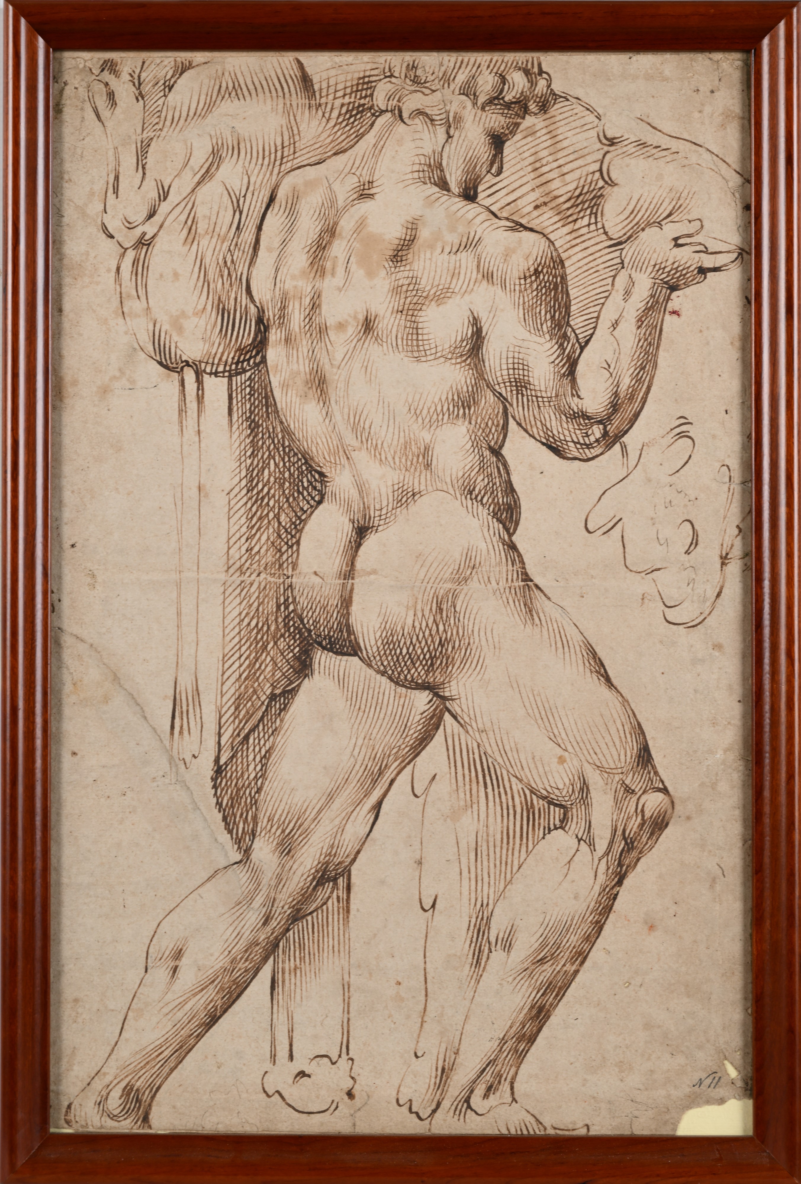 Studio di Ercole