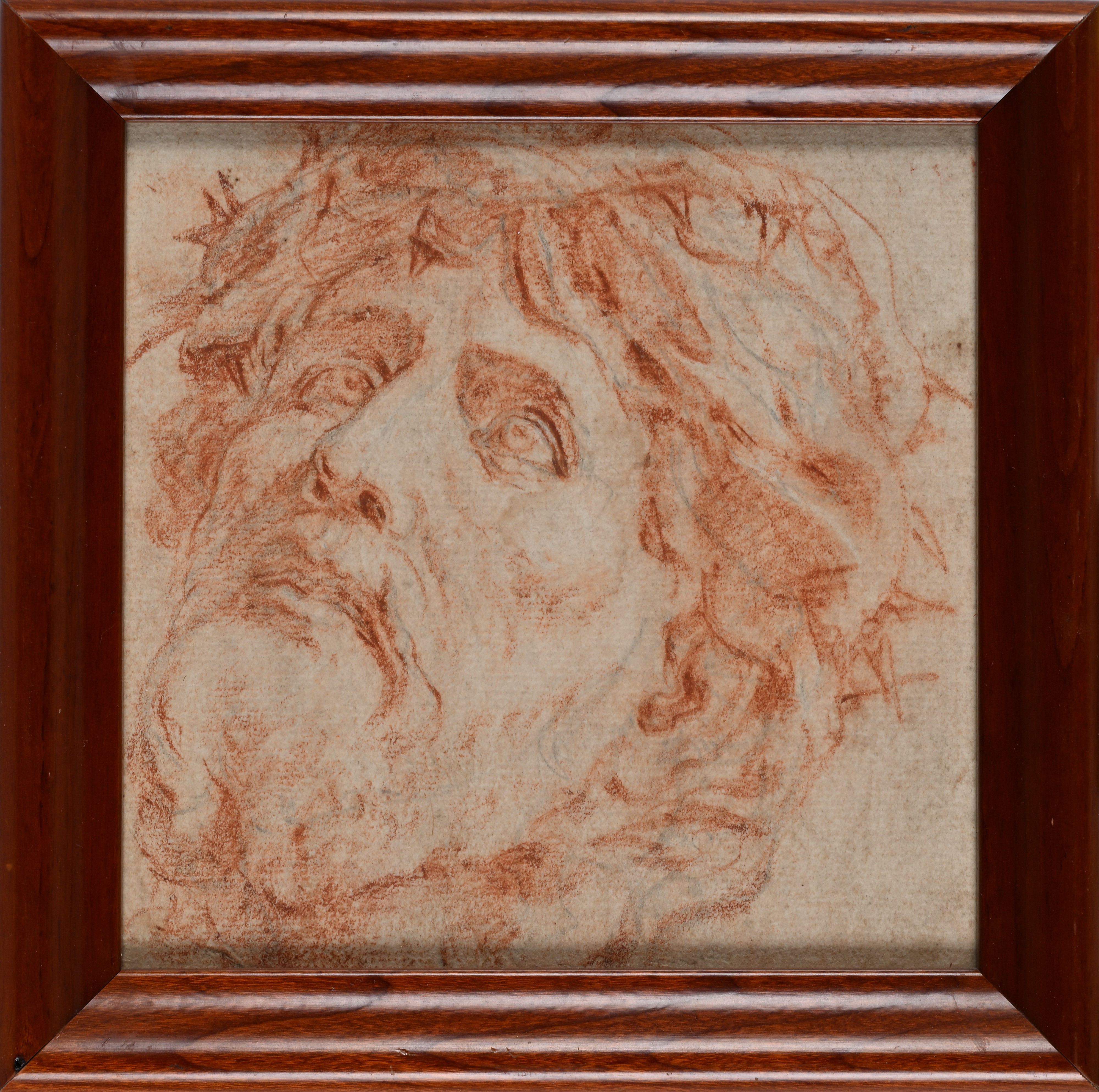 Studio di testa di Cristo