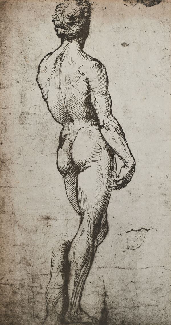 Nudo maschile da un disegno di Raffaello Sanzio sull'esempio del David di Michelangelo 