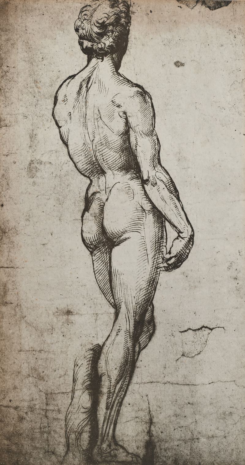 Nudo maschile da un disegno di Raffaello Sanzio sull'esempio del David di Michelangelo