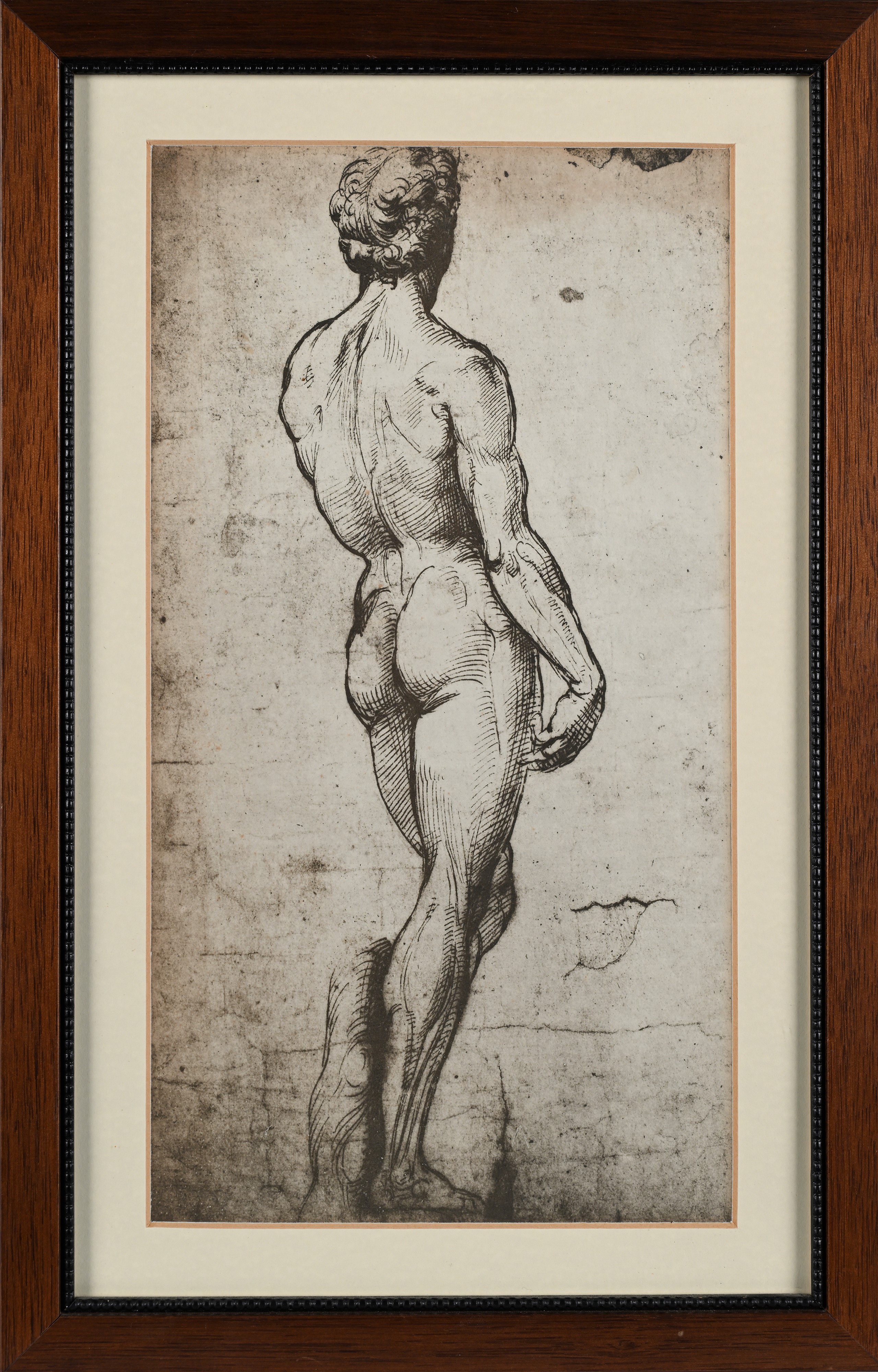 Nudo maschile da un disegno di Raffaello Sanzio sull'esempio del David di Michelangelo