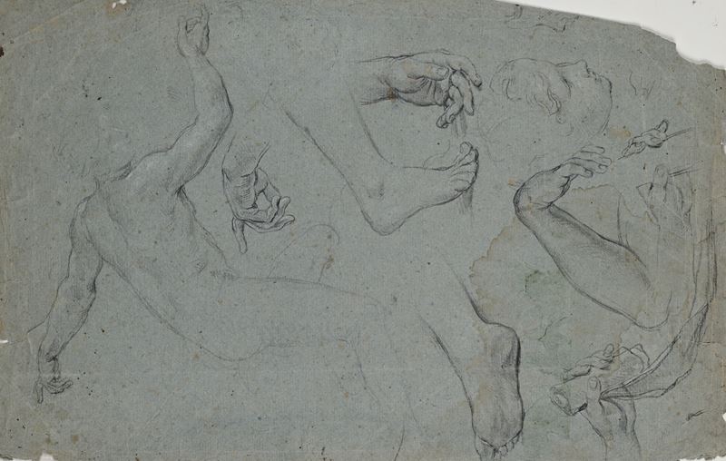 Studio di piedi e torso