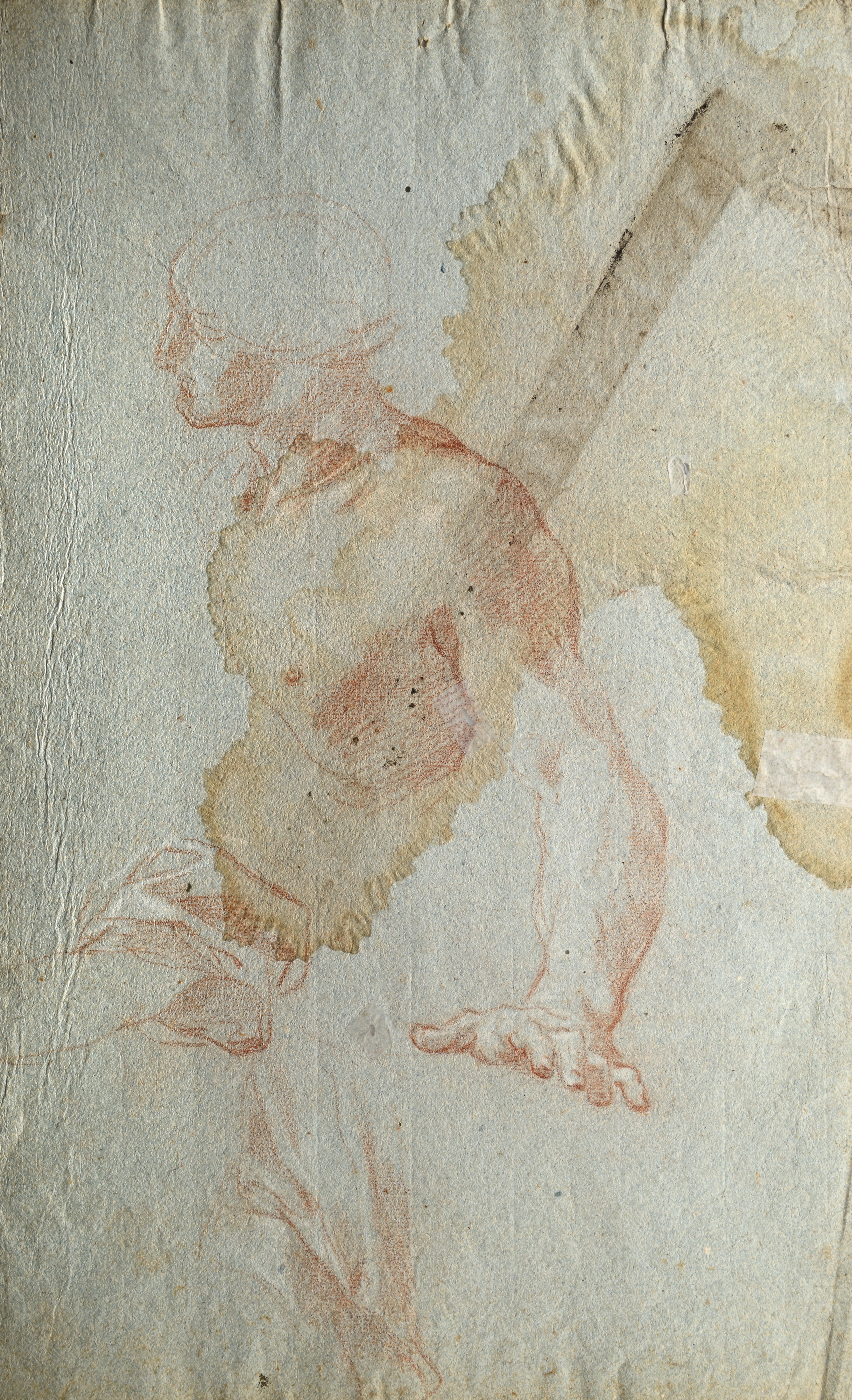 Recto: Studio di torso - Verso: Studio di mani e panneggio