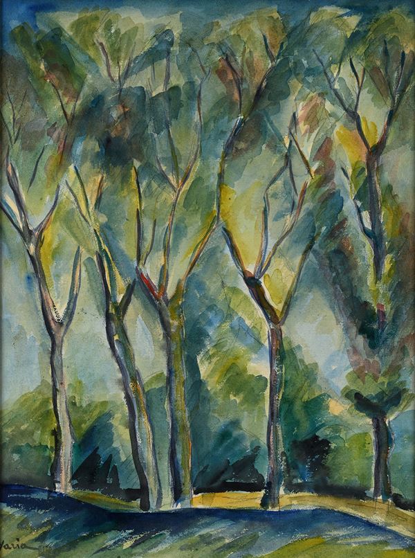 Armiro Yaria - Bosco