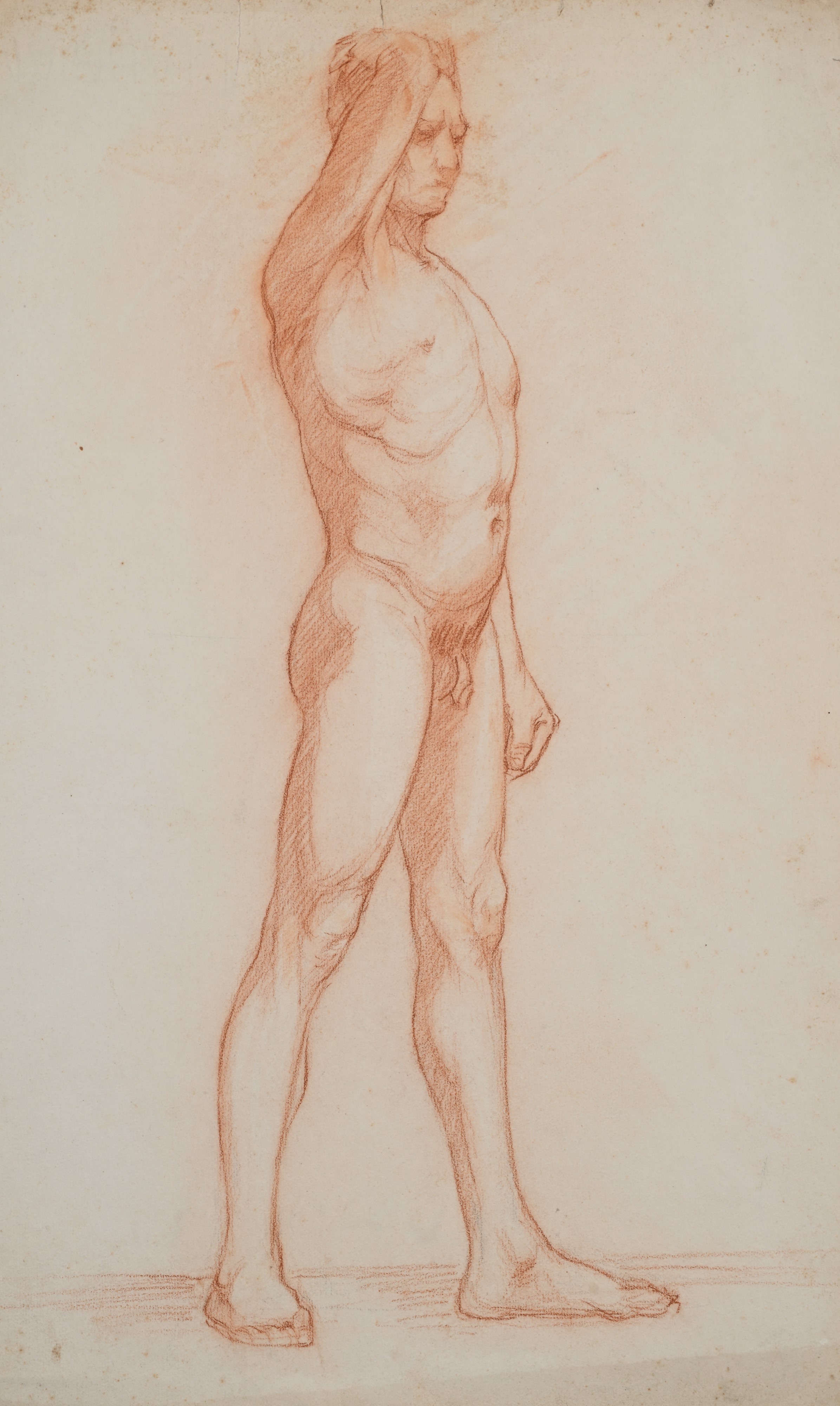 Scuola Italiana del XIX Secolo - Cinque studi di nudo accademico maschili e femminili, matite su ...