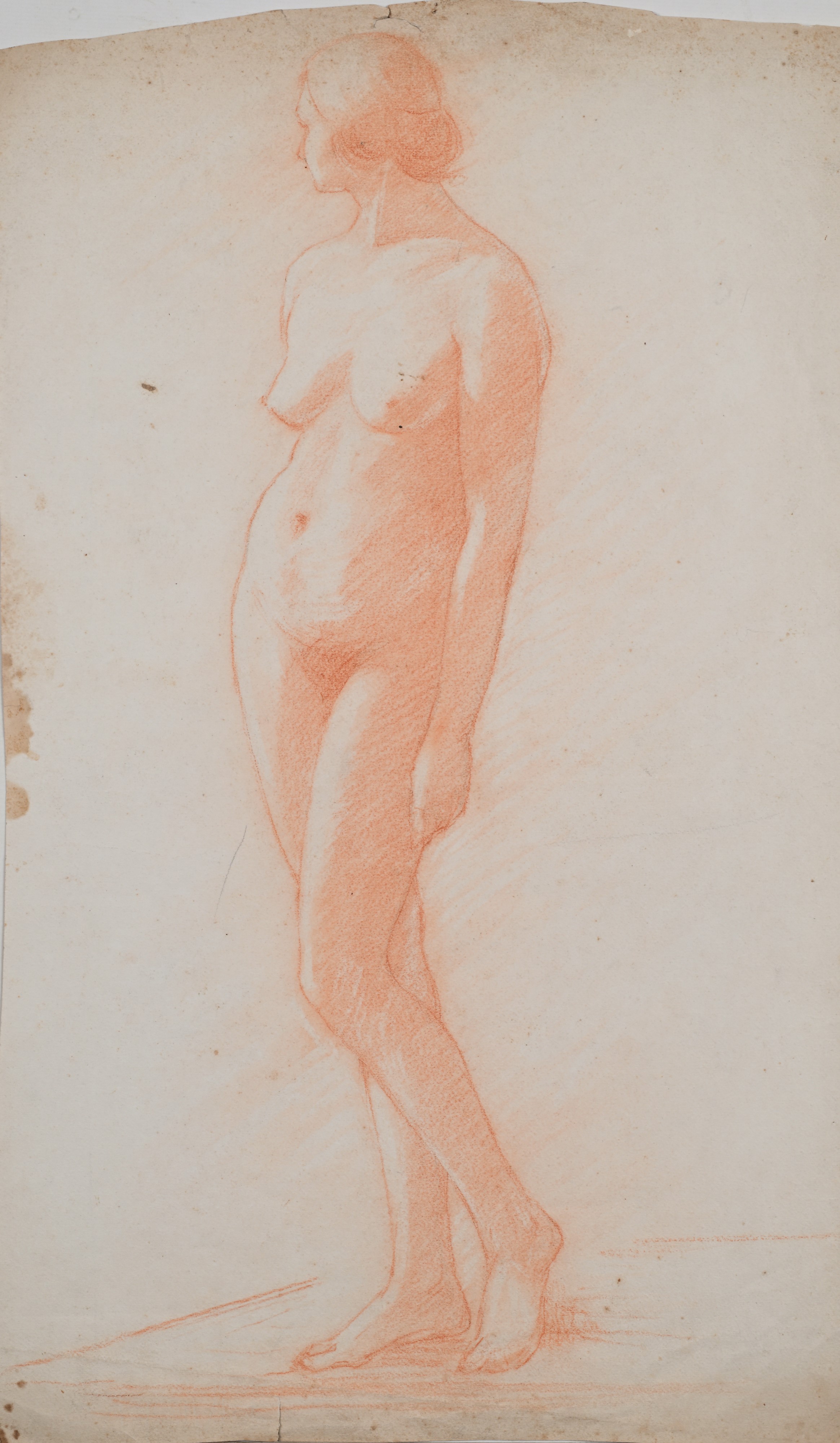 Scuola Italiana del XIX Secolo - Cinque studi di nudo accademico maschili e femminili, matite su ...