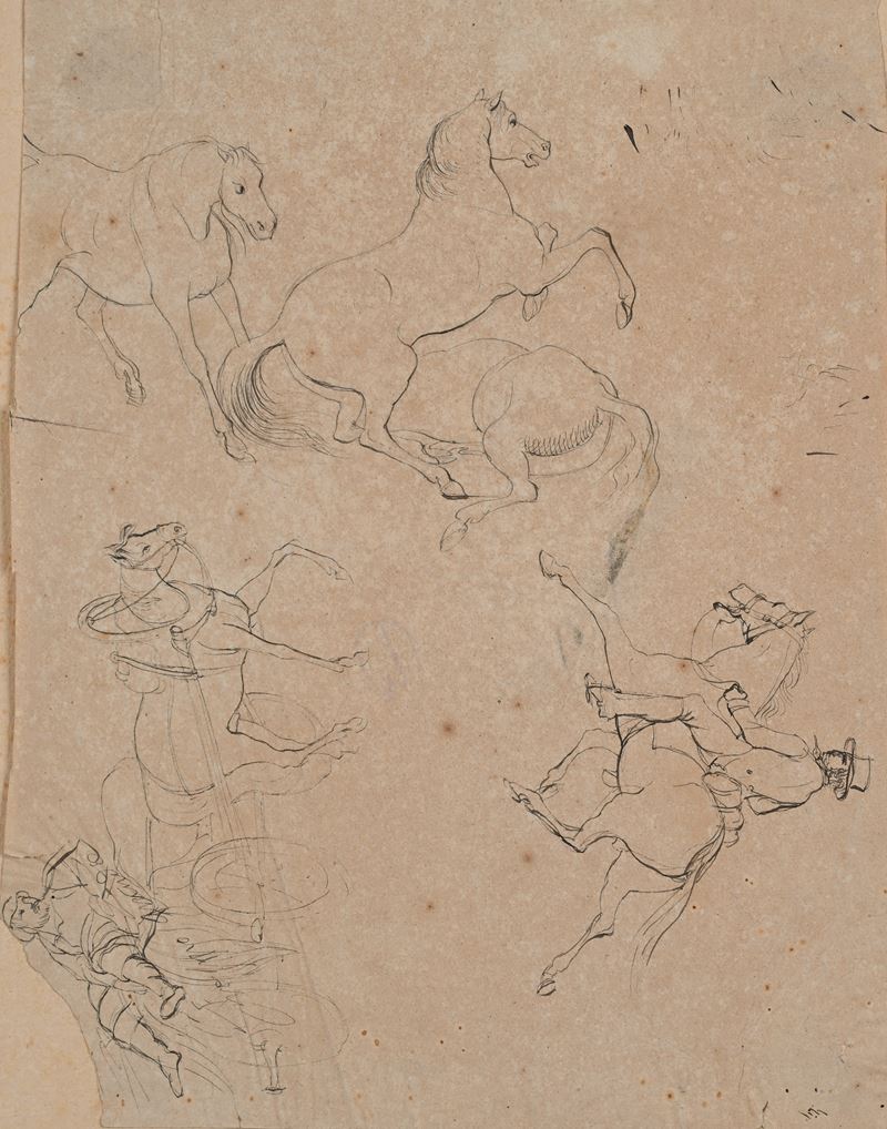 Studi di cavalli e figure