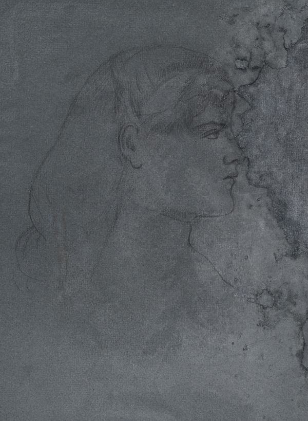 Studio di profilo di donna